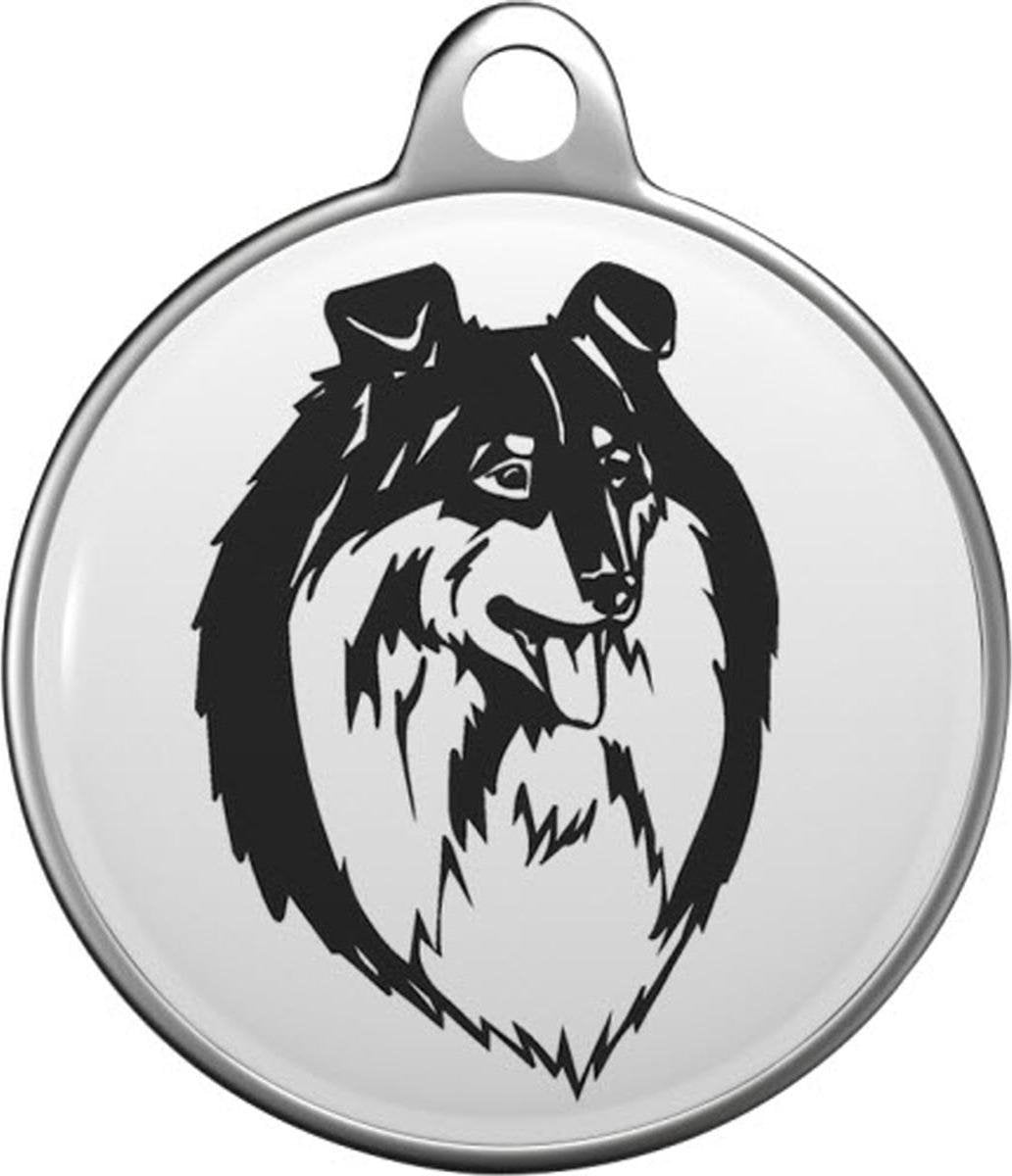 Schotse herdershond - Collie Tommy Tag S014