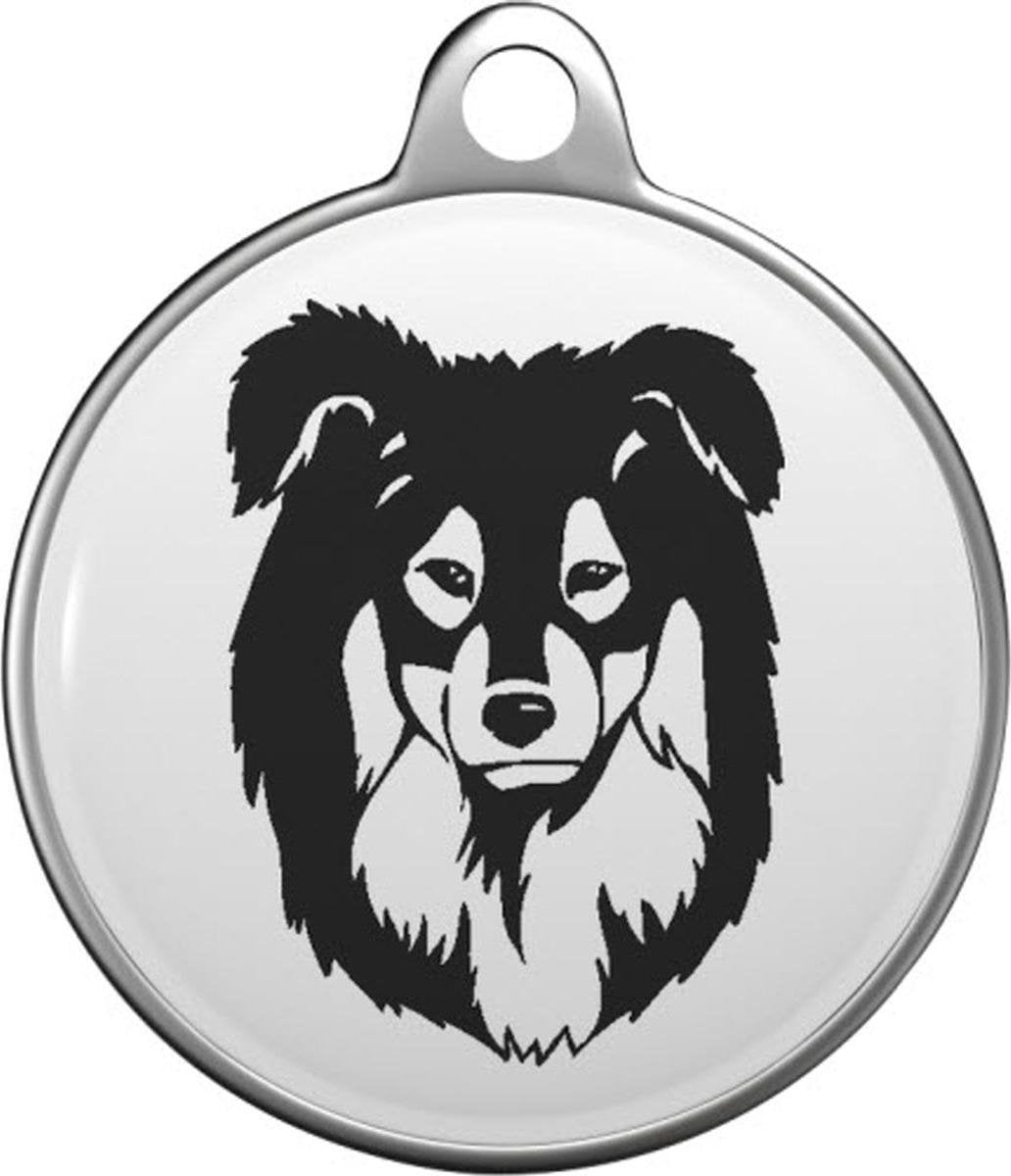 Australian Shepherd Mini Tommy Tag M008