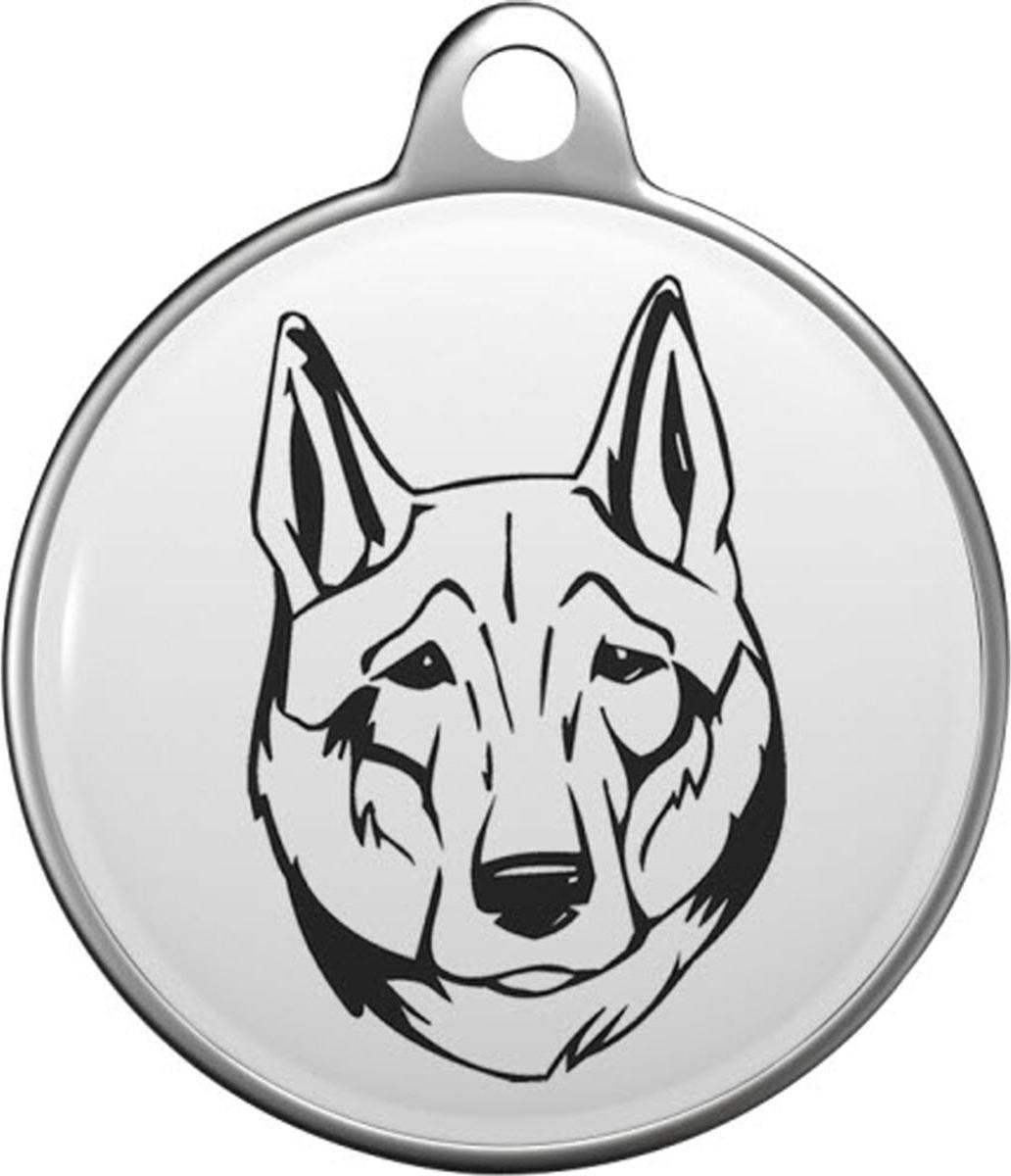 Shikoku Tommy Tag S026