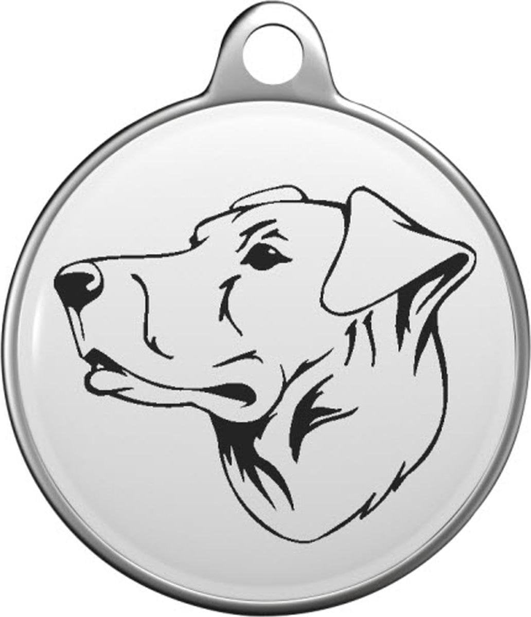 Chinook Tommy Tag C024