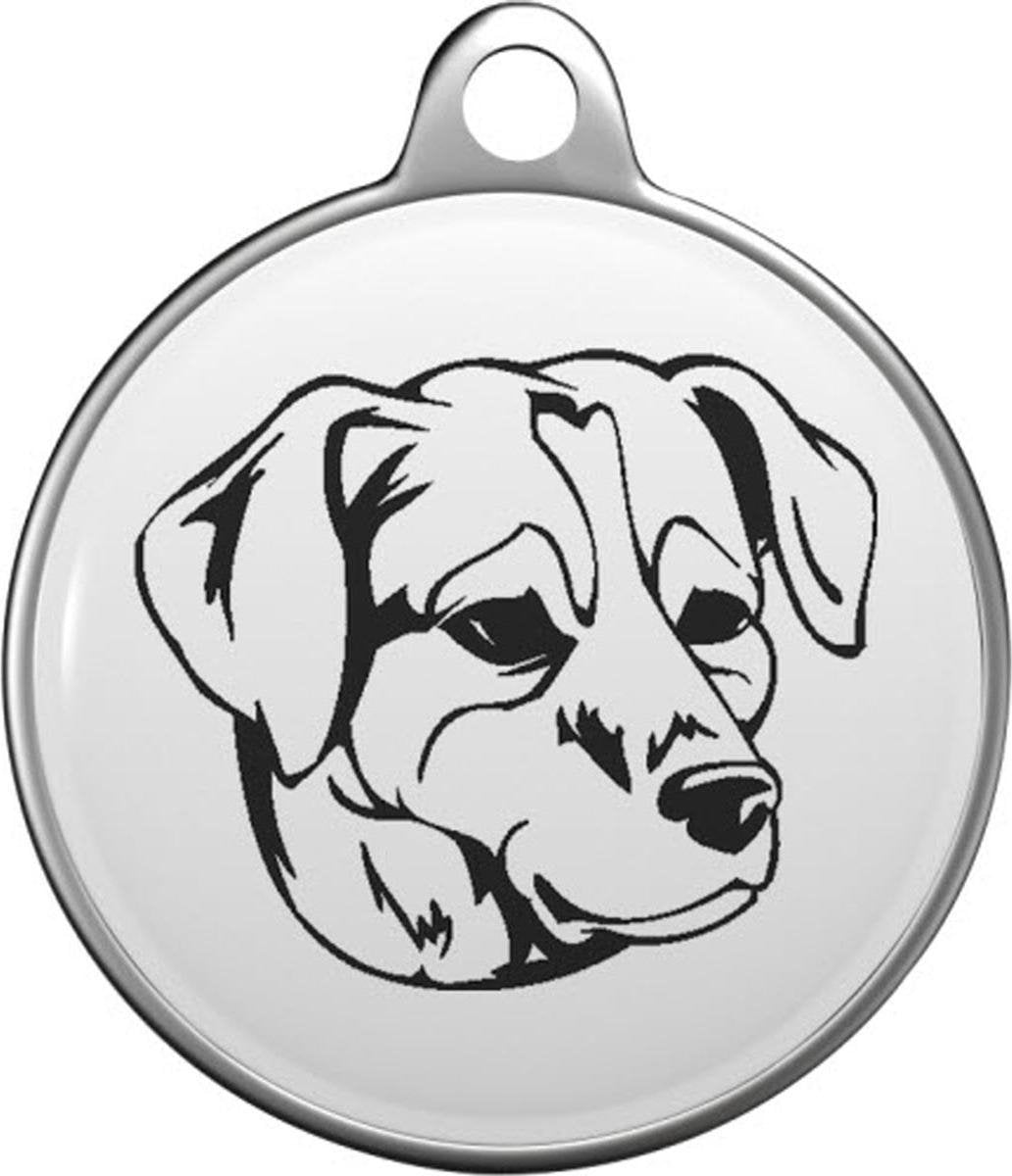 Deens-Zweedse Boerderijhond Tommy Tag D005
