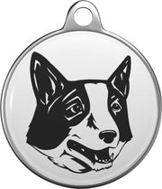 Russische toyterriër Tommy Tag R013