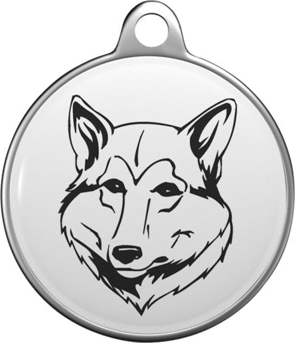 West Siberische Laika Tommy Tag W008