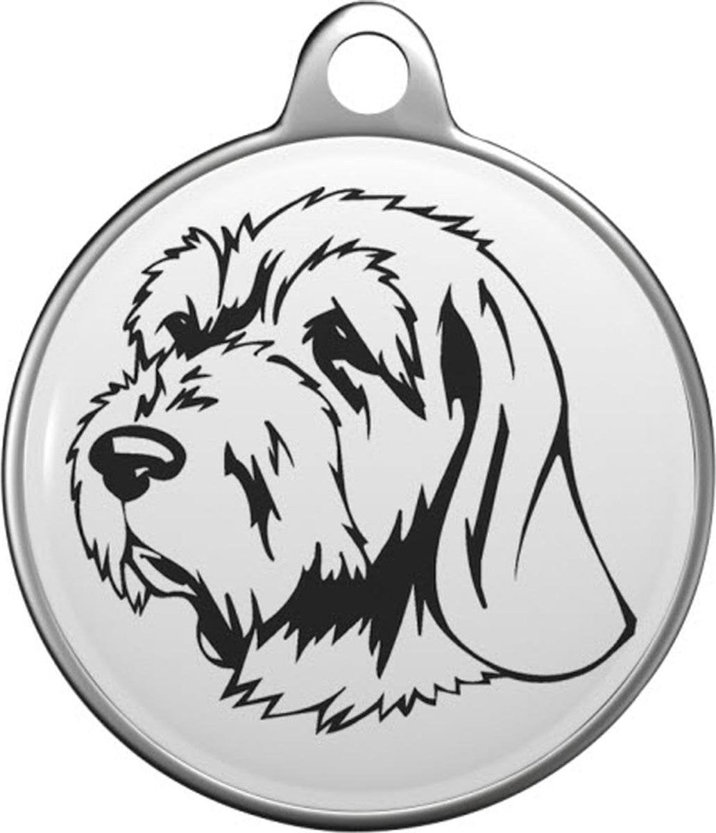Spinone Italiano Tommy Tag S041