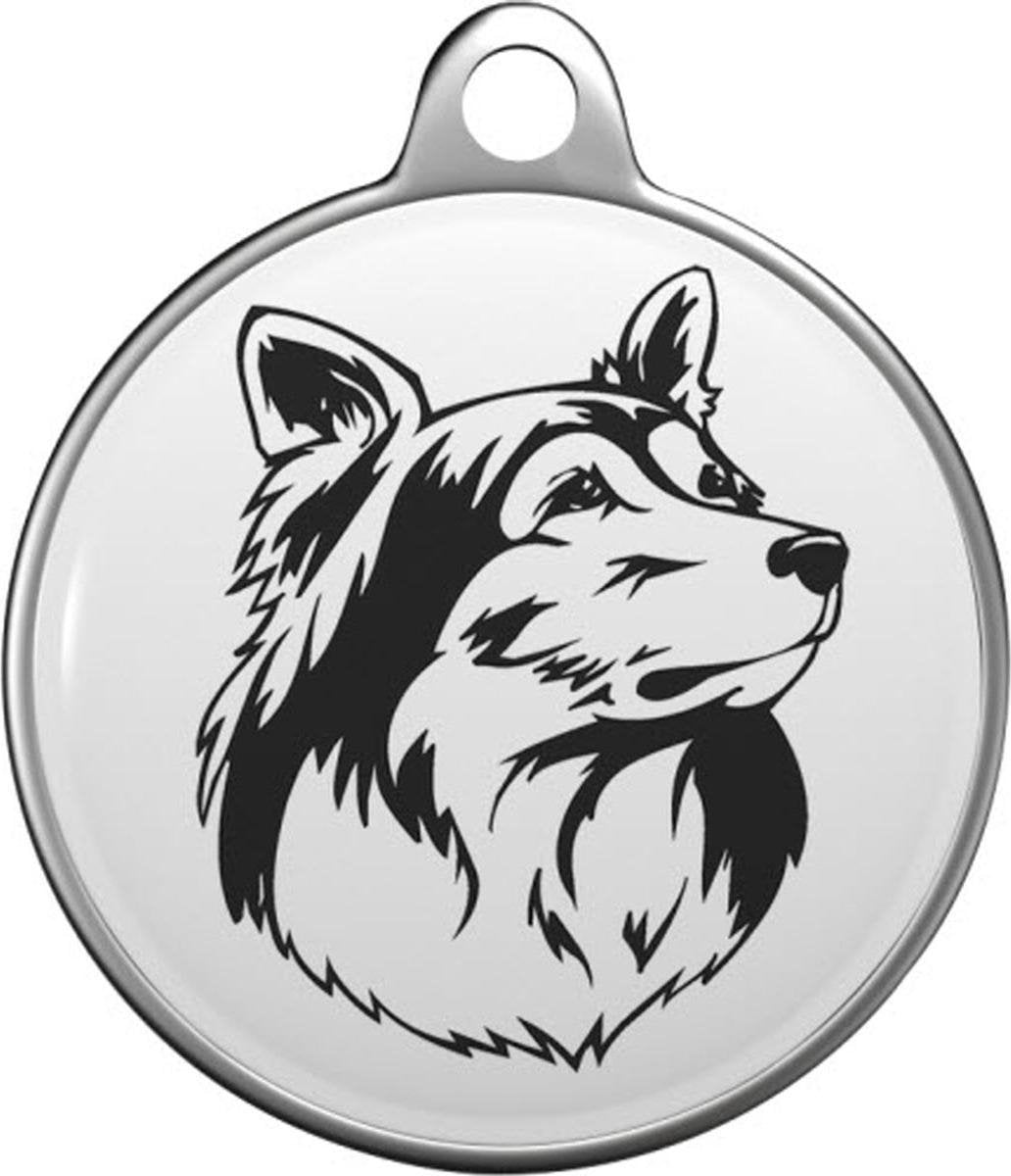 Shetland Sheepdog Tommy Tag S023
