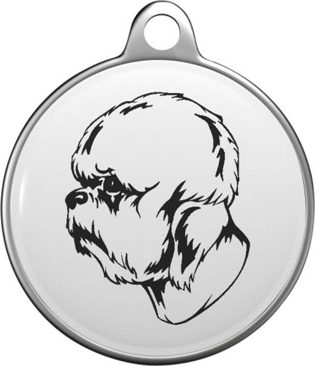 Dandie Dinmont terriër Tommy Tag D004