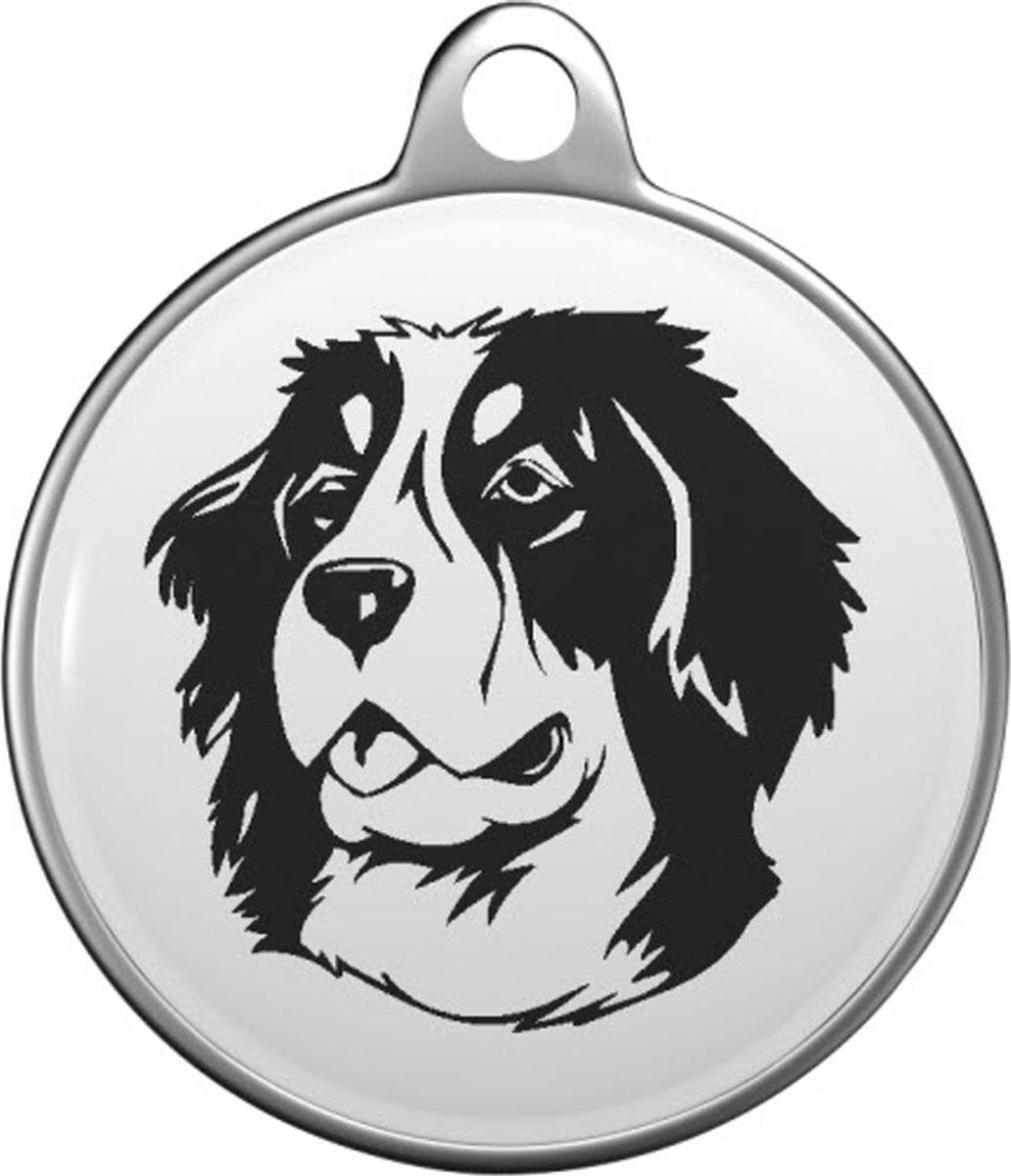 Berner sennenhond Tommy Tag B025