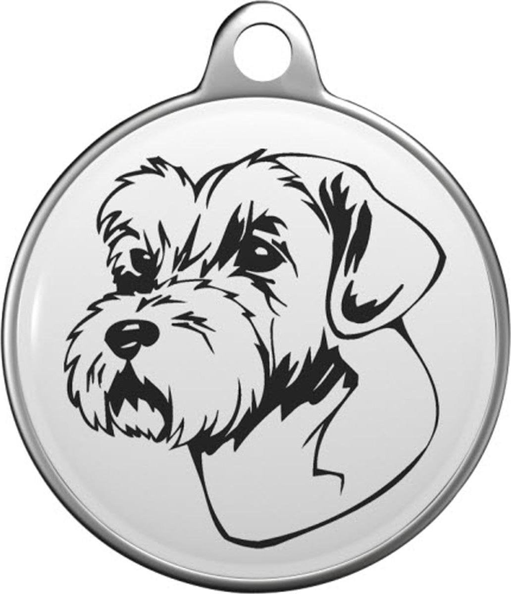 Sporting Lucas Terrier Tommy Tag S043