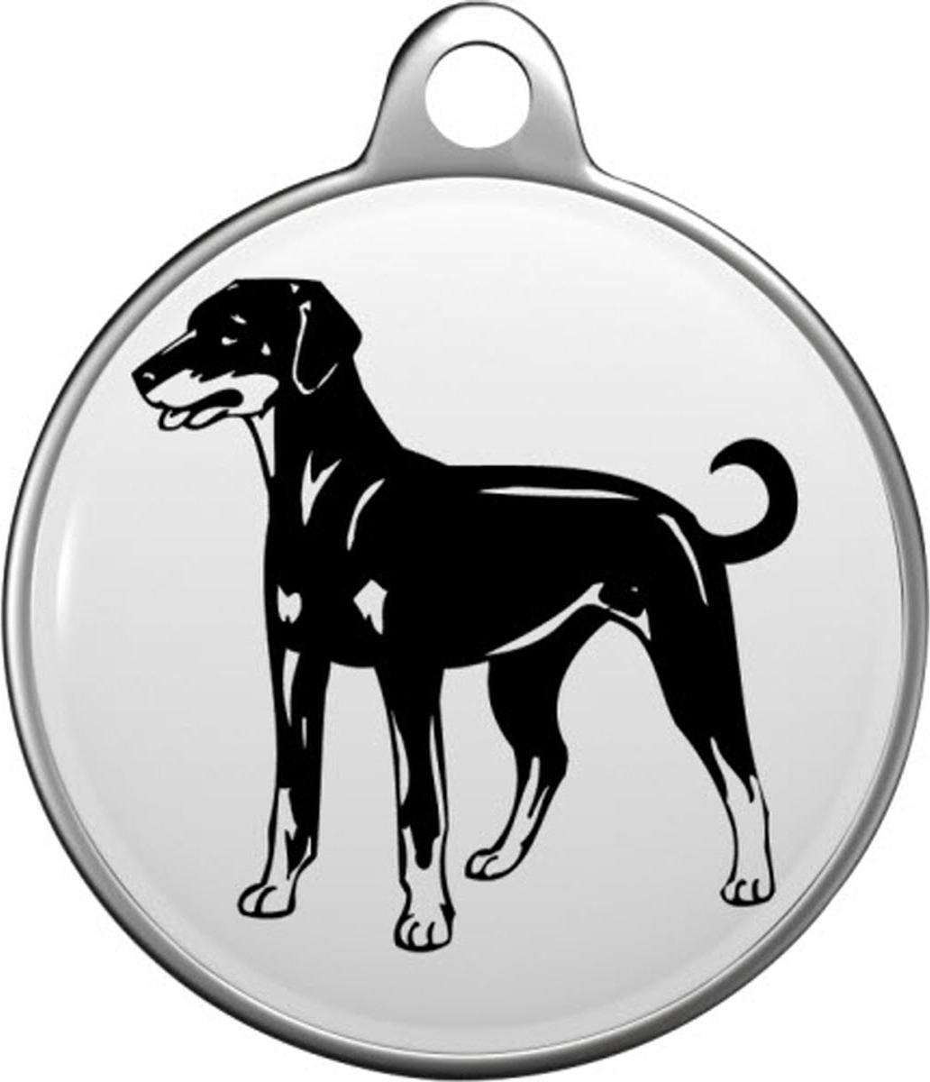 Doberman Tommy Tag D007