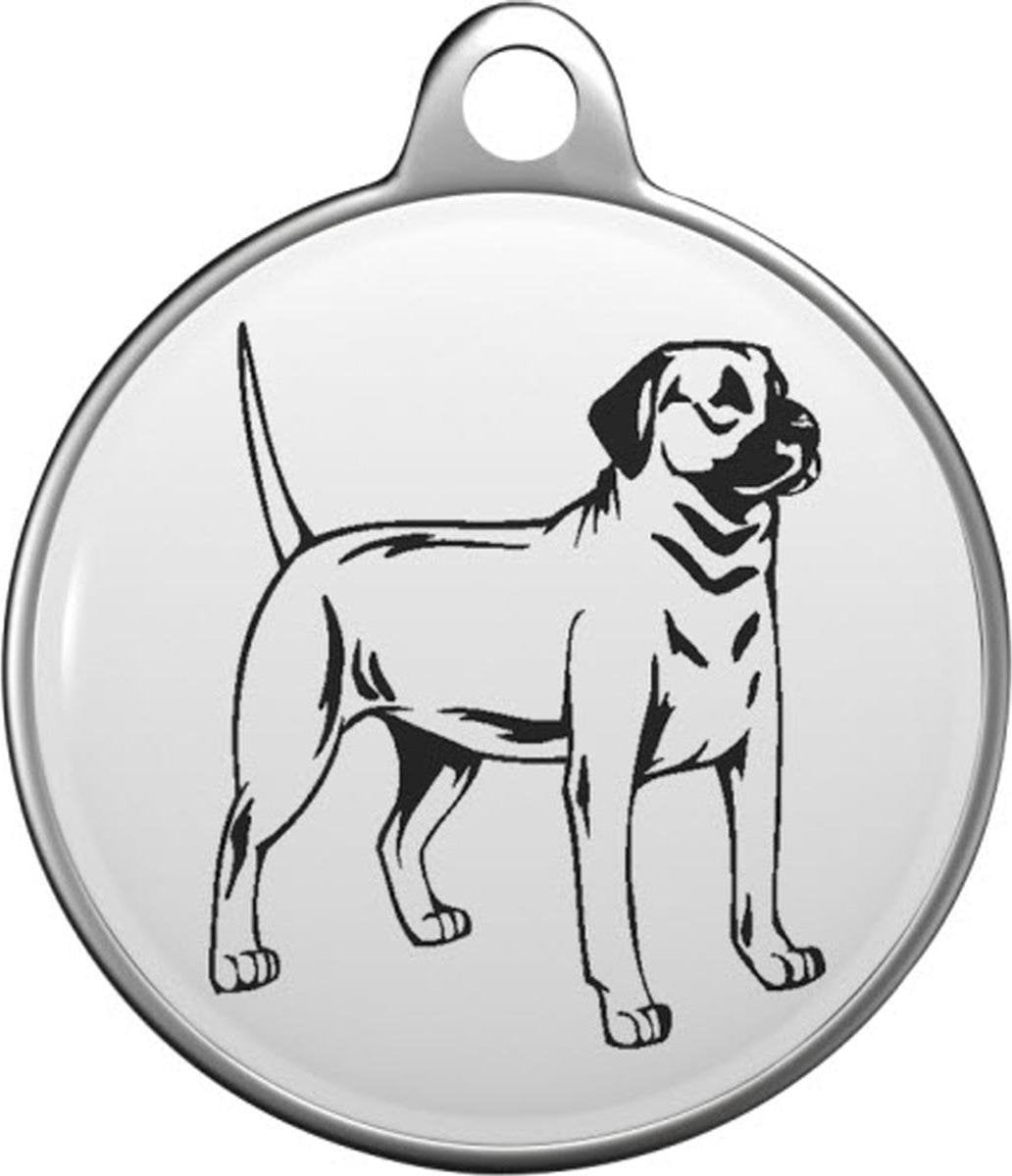 Blackmouth Cur Tommy Tag B029