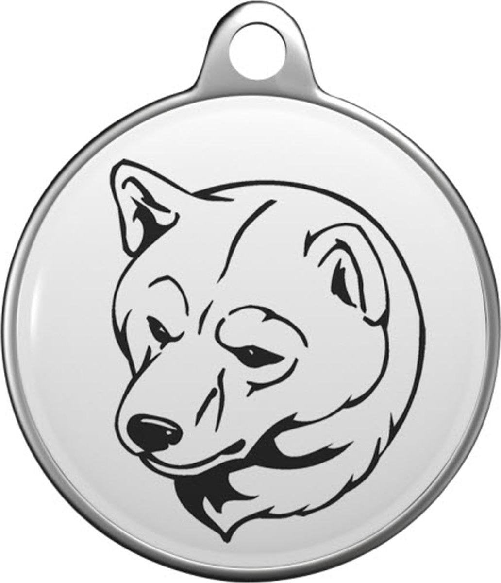 Shiba Inu Tommy Tag S024