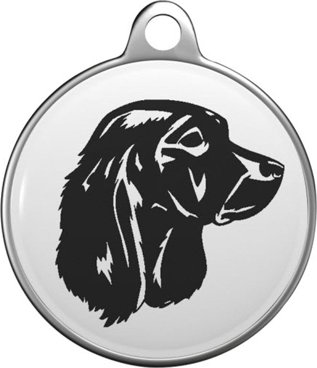 Duitse wachtelhond Tommy Tag G009