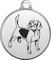 Beagle Tommy Tag B012