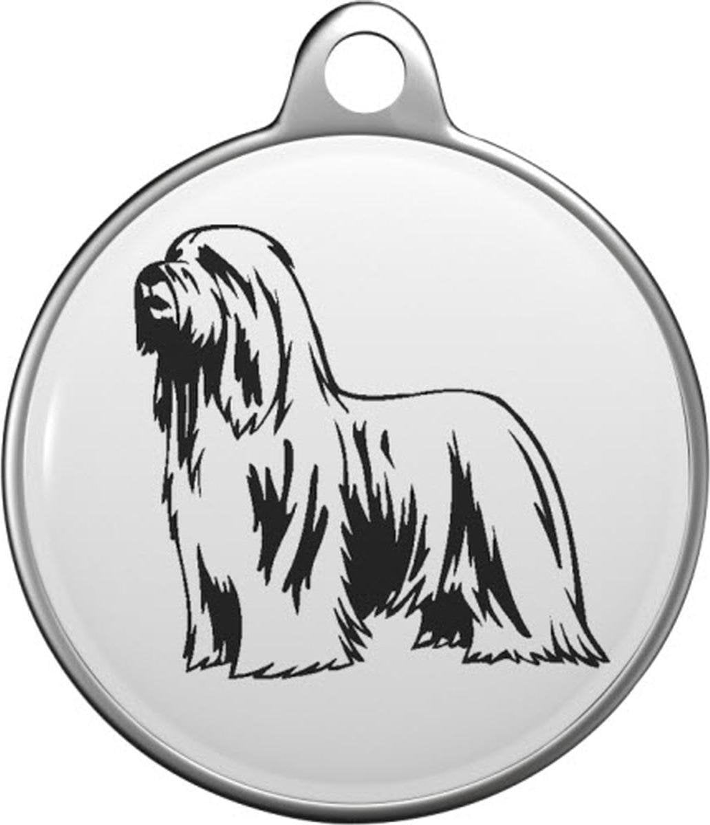 Bearded Collie Tommy Tag B014