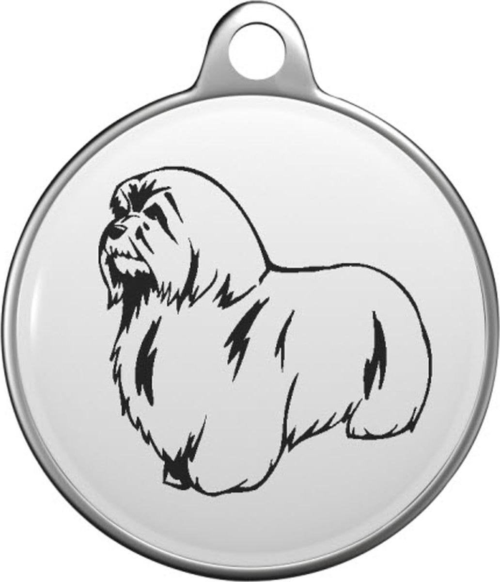 Coton de Tulear Tommy Tag C034