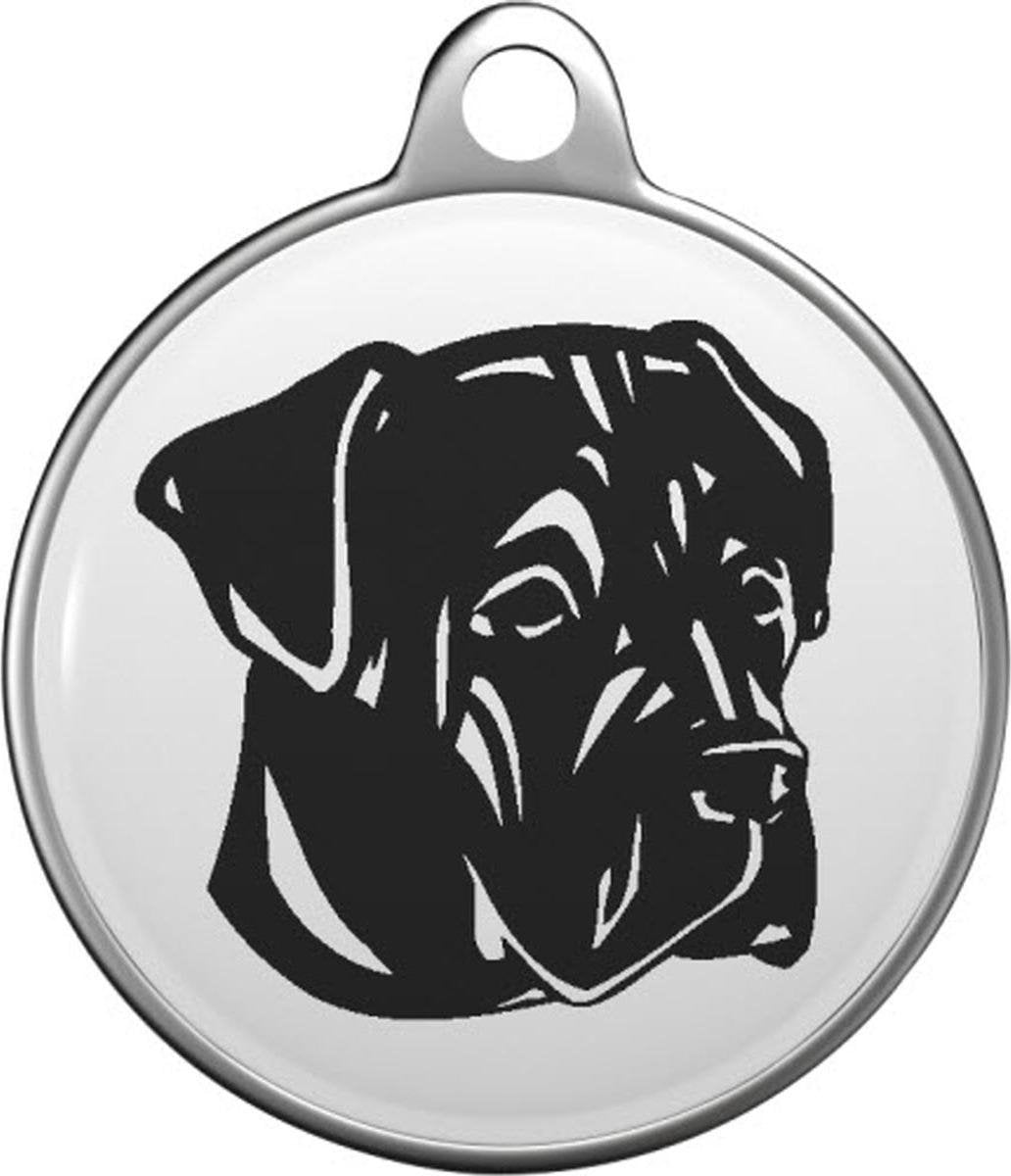 Cane corso Tommy Tag C004