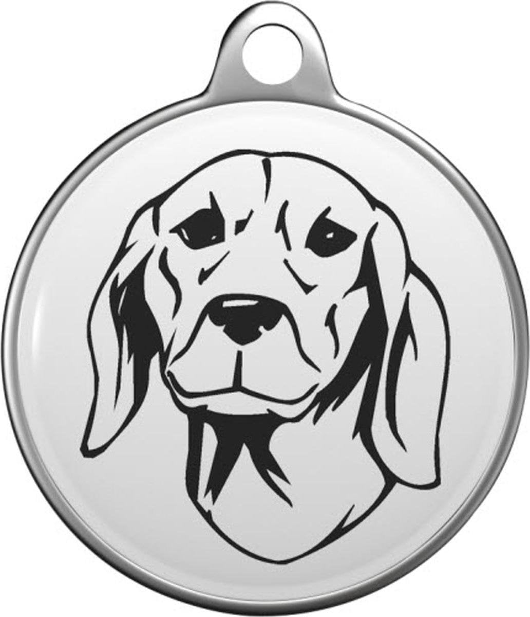 Srpski gonic - Servische hond Tommy Tag S020