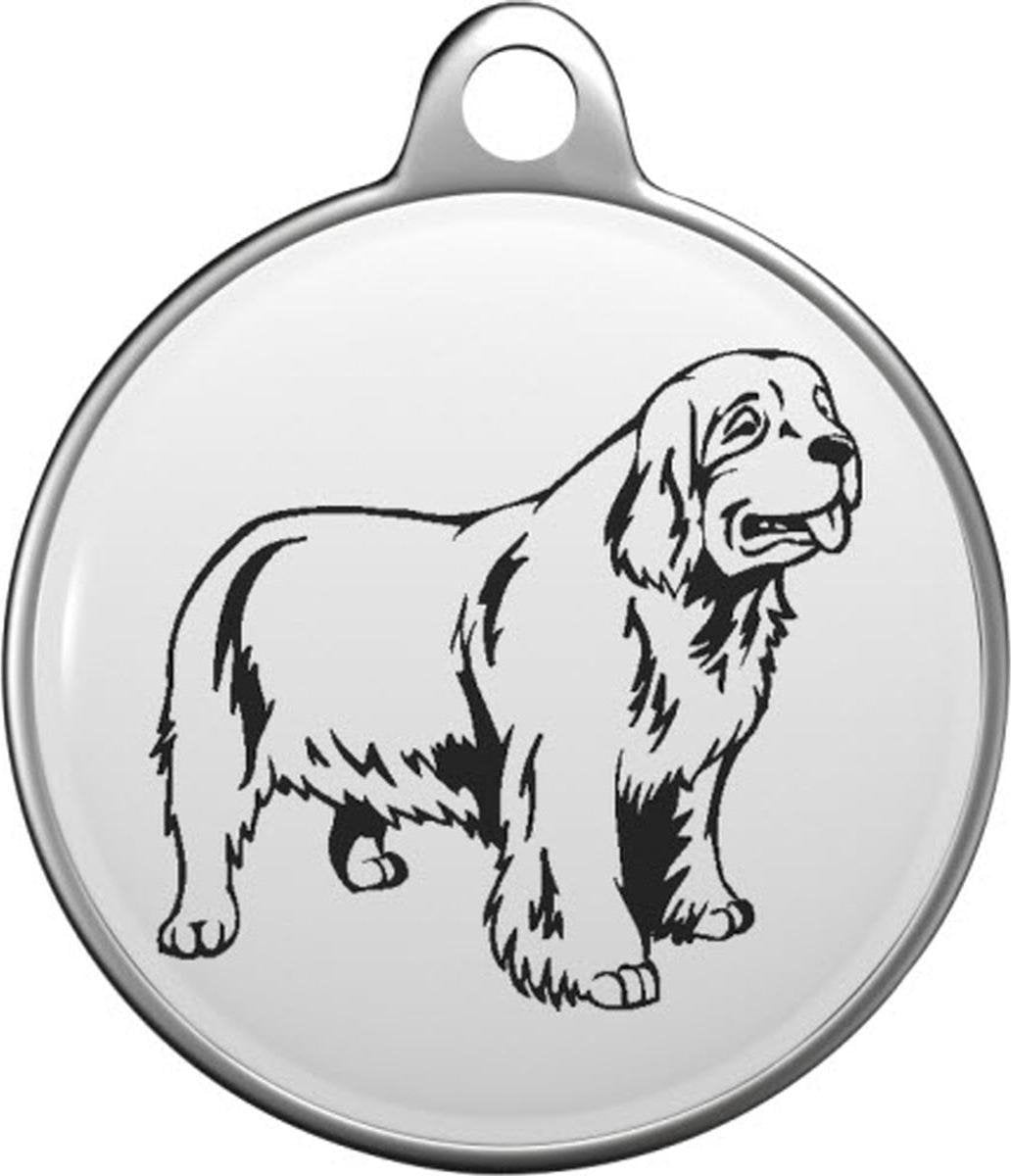 Clumber Spaniel Tommy Tag C030