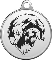Spaanse waterhond Tommy Tag S040