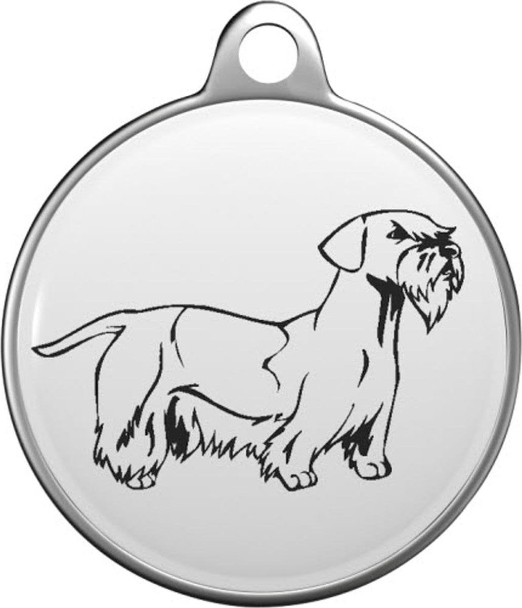 Cesky Terrier Tommy Tag C016