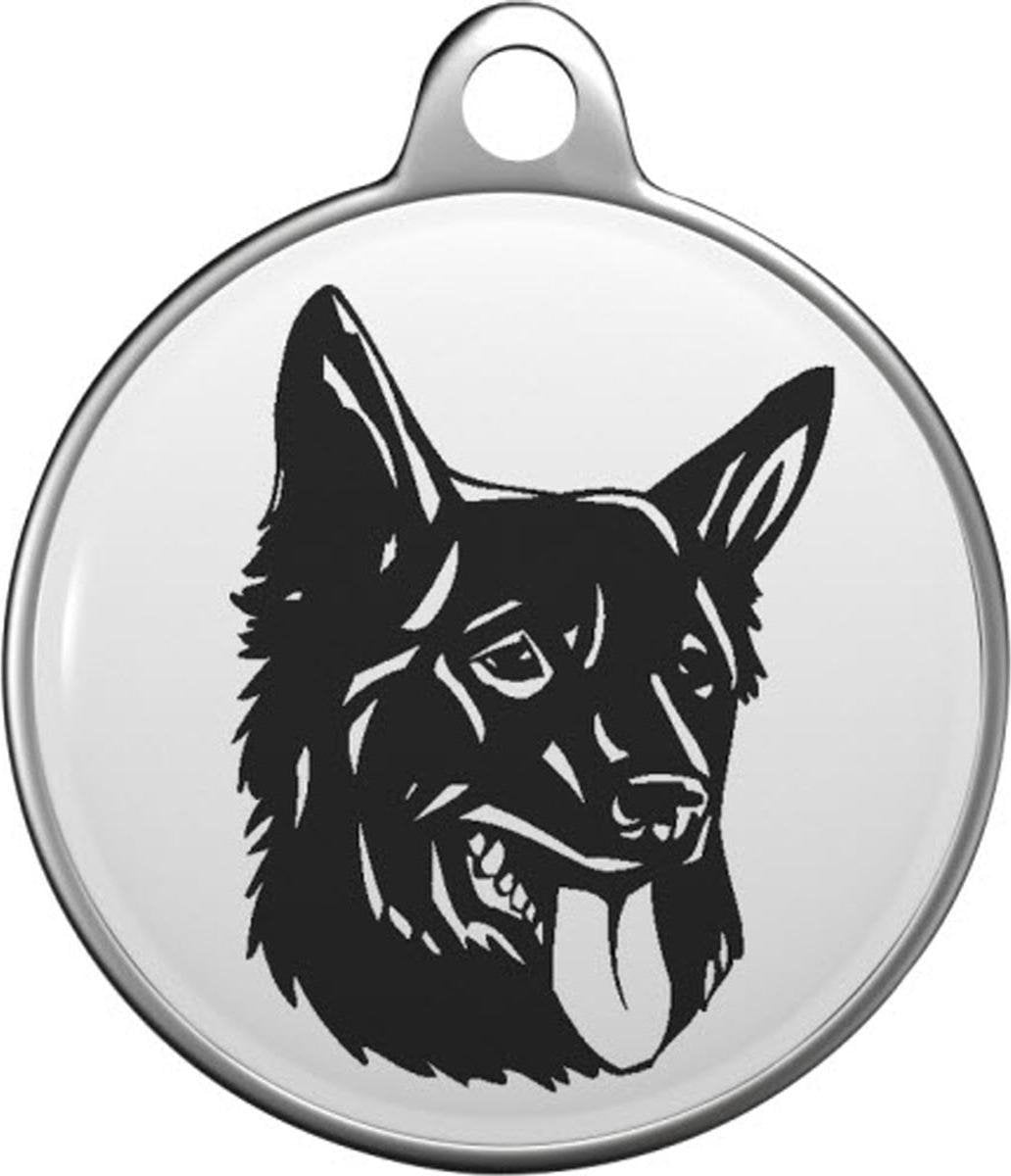 Croatian Sheepdog Tommy Tag C036