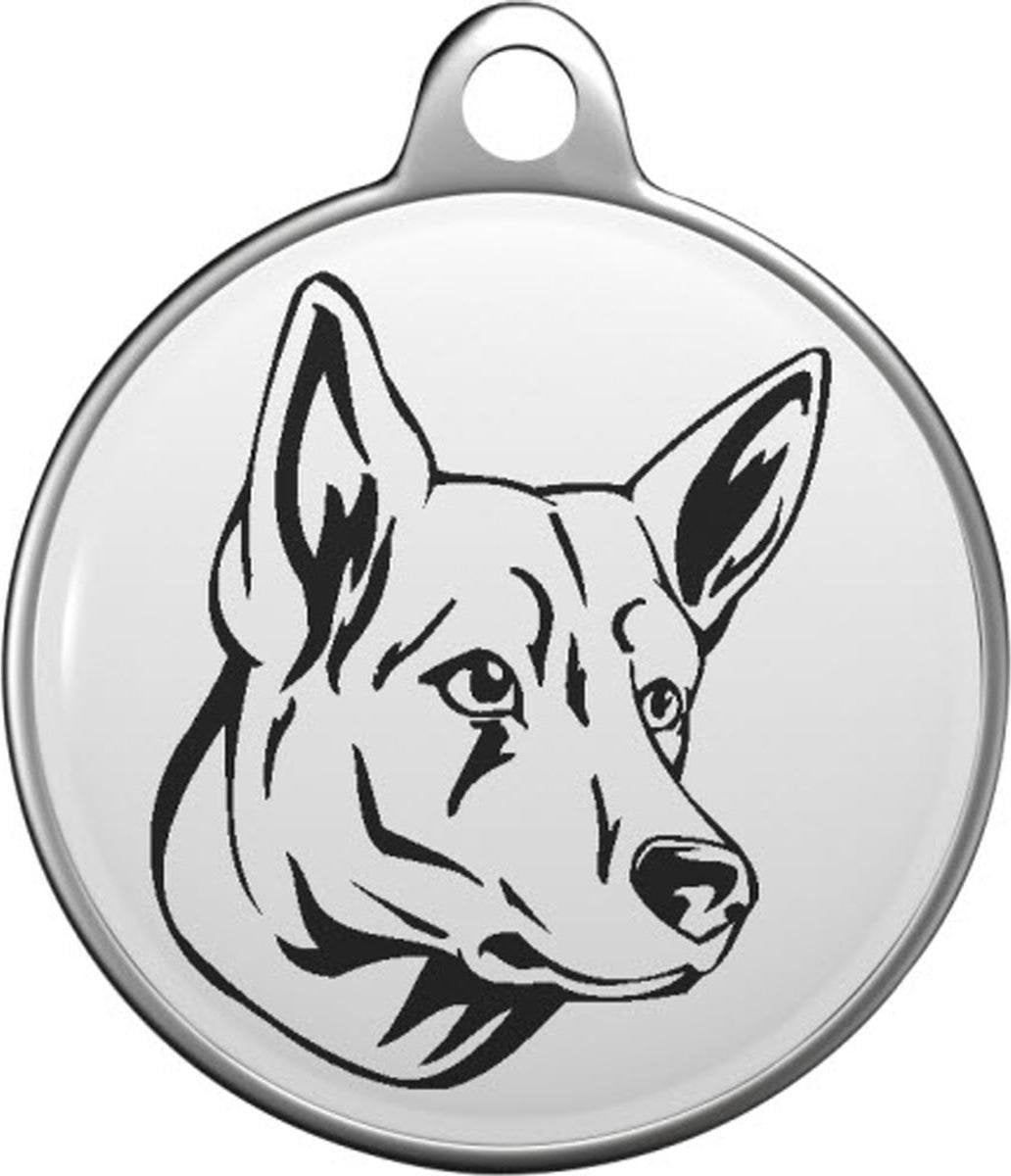 Zwitserse witte herder Tommy Tag B022