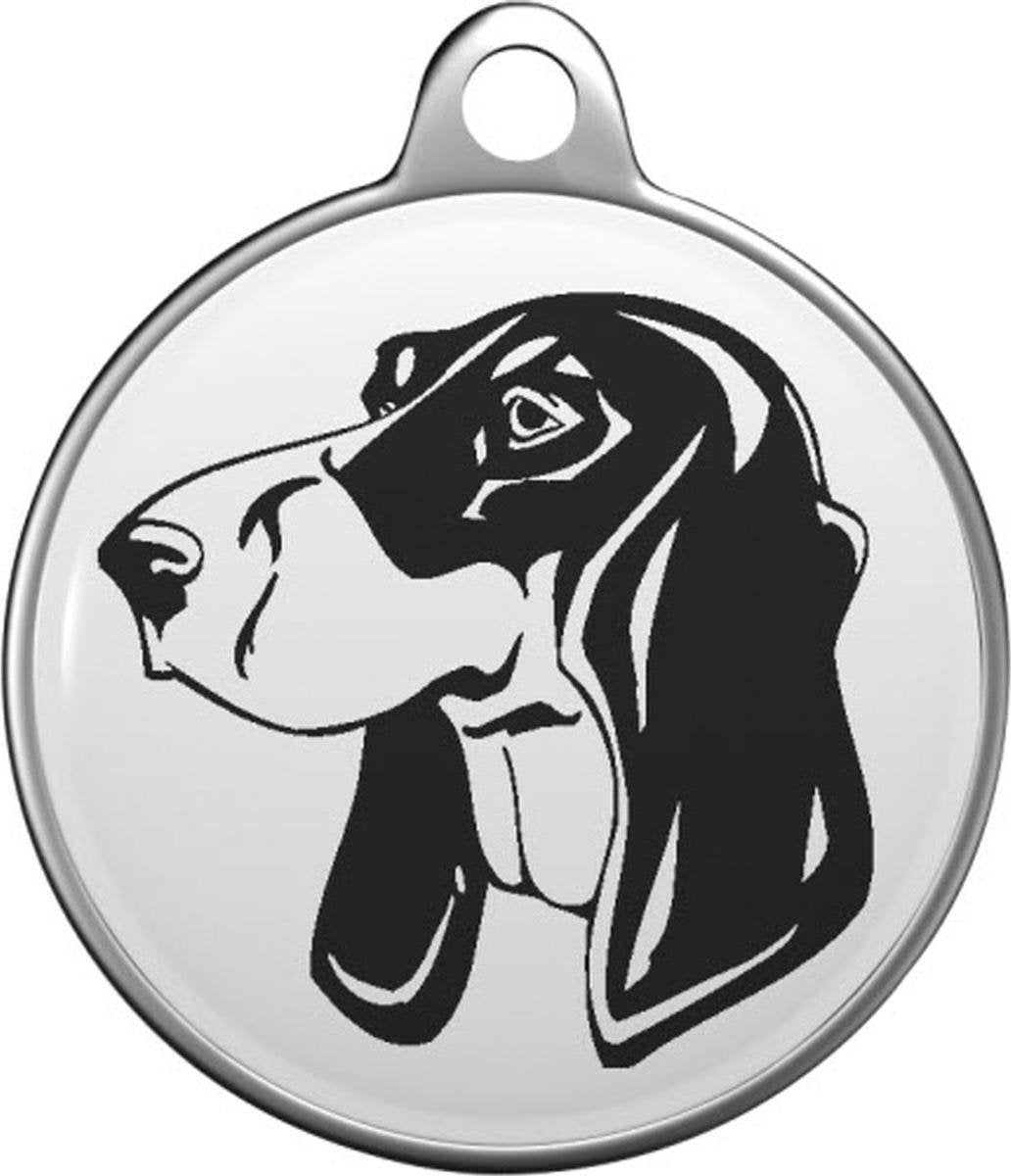 Berner Laufhund  Tommy Tag B024