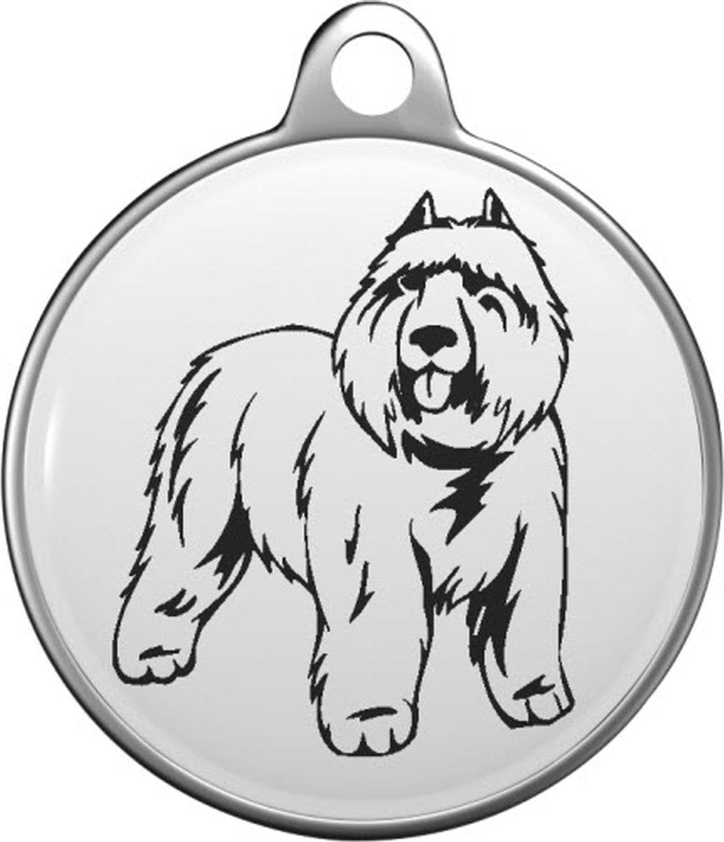 Bouvier des Flandres Tommy Tag B044