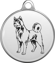 American Akita  Tommy Tag  A011