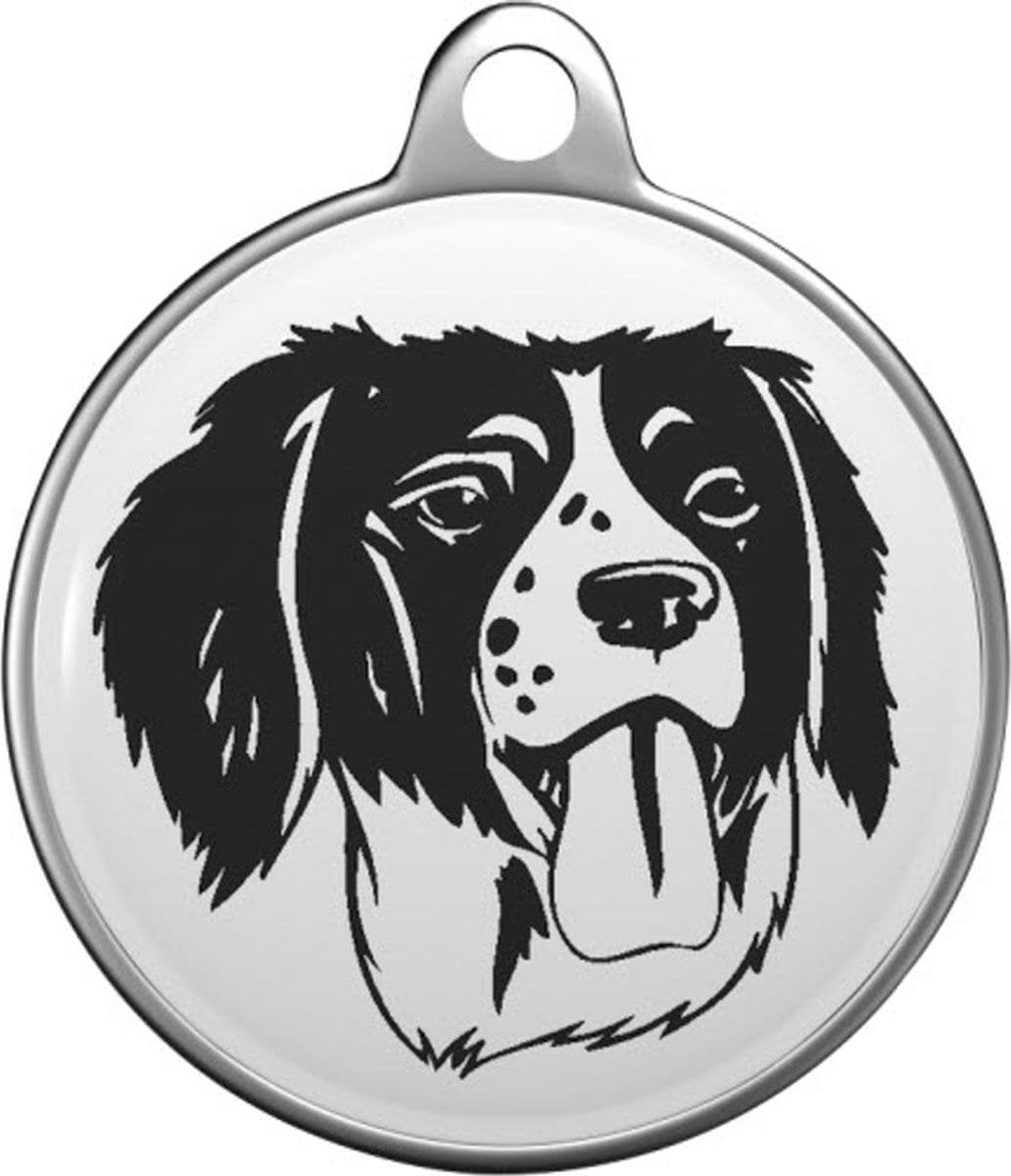 Brittany Spaniel Tommy Tag B056