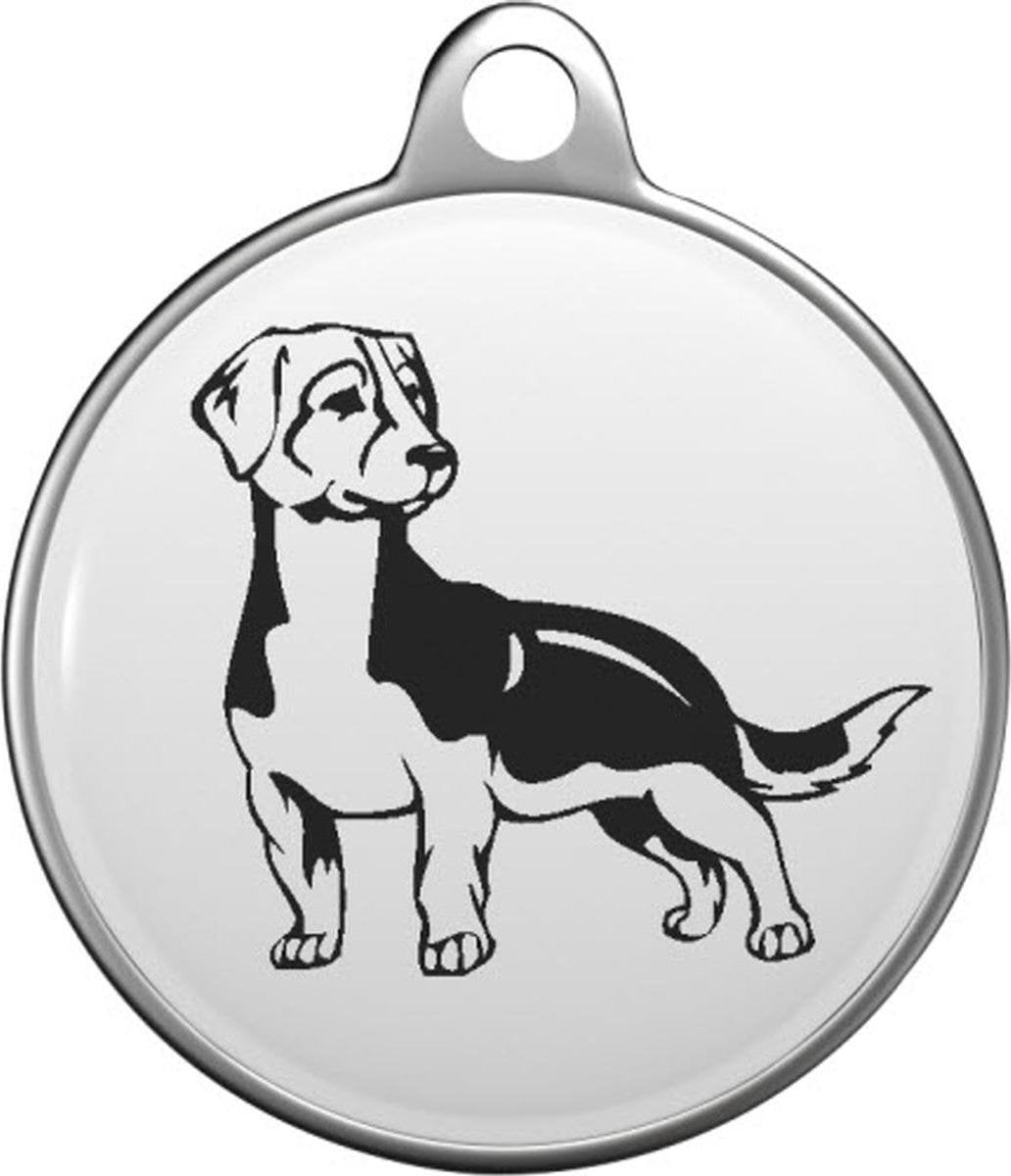 Drever Tommy Tag D011