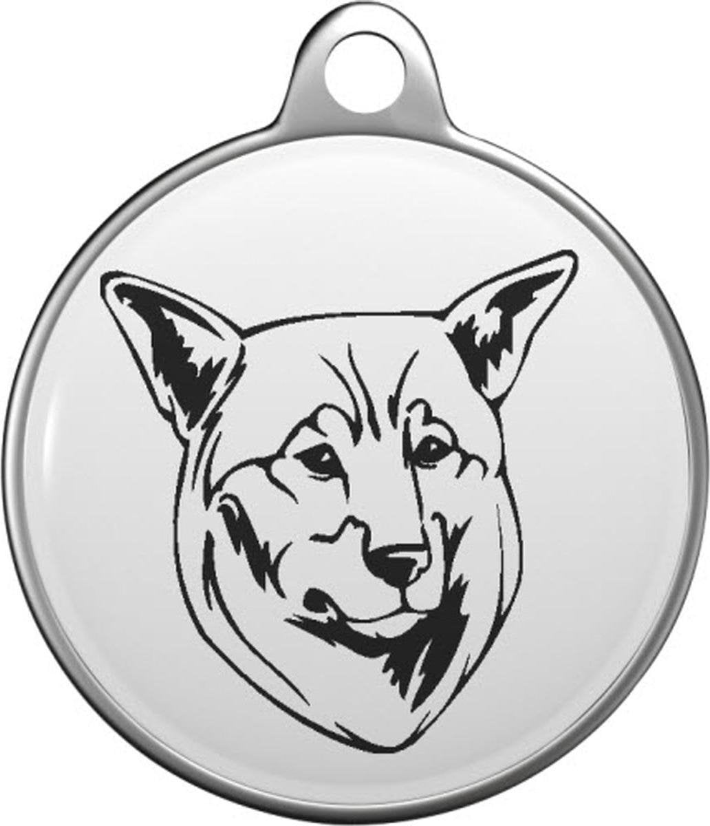 Zweedse elandhond Tommy Tag J003