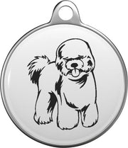 Bichon frisé Tommy Tag B026
