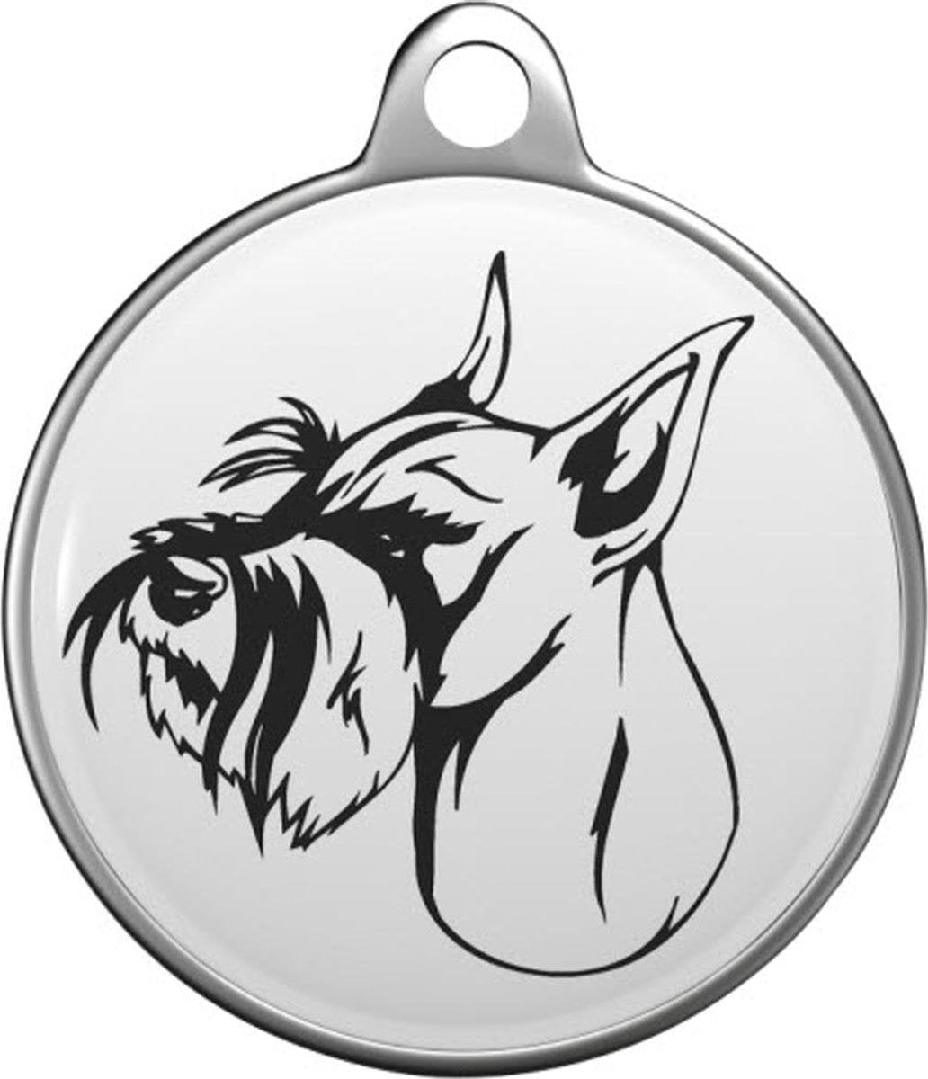 Standard Schnauzer Tommy Tag S047