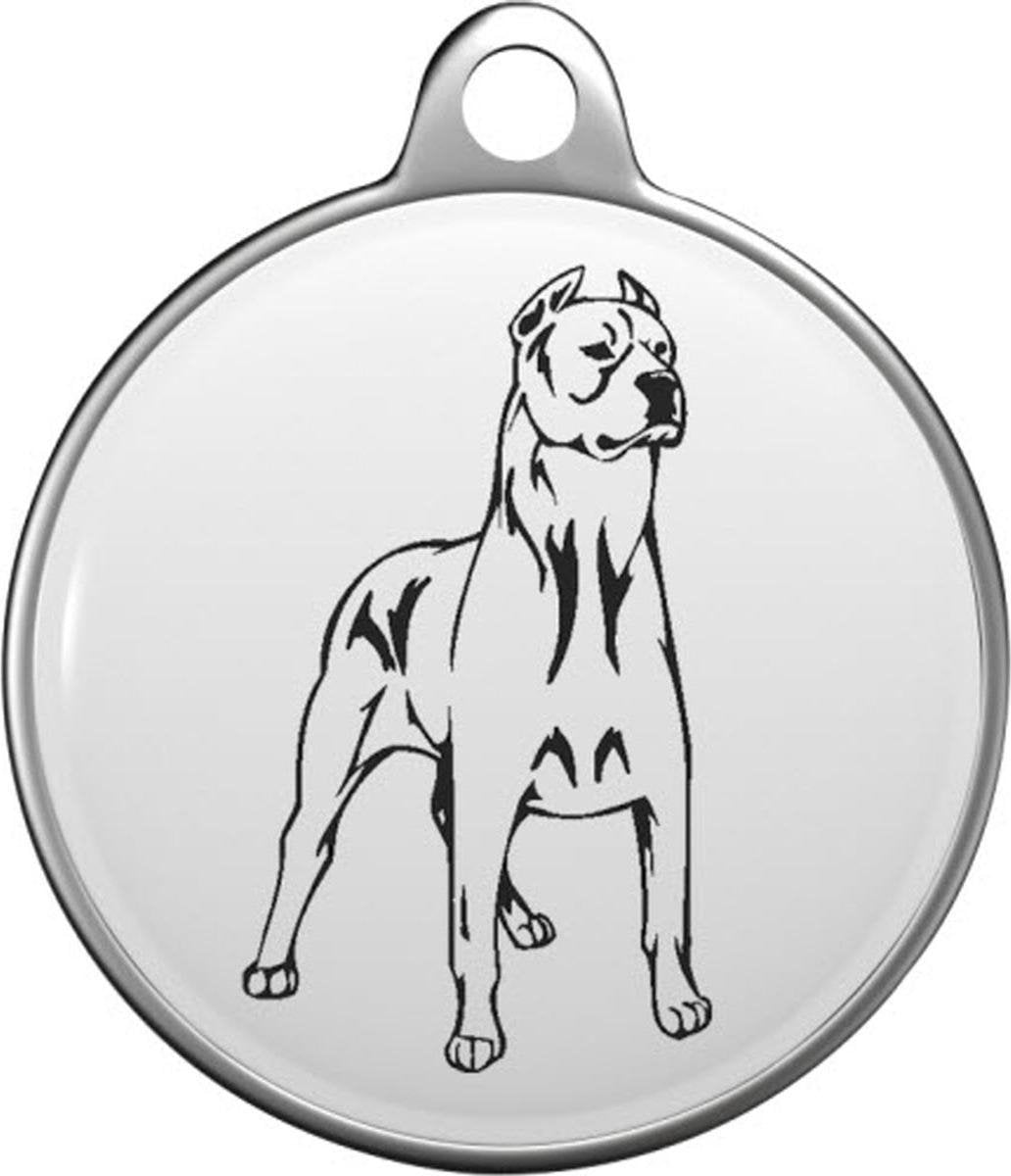 Dogo Argentino Tommy Tag D008