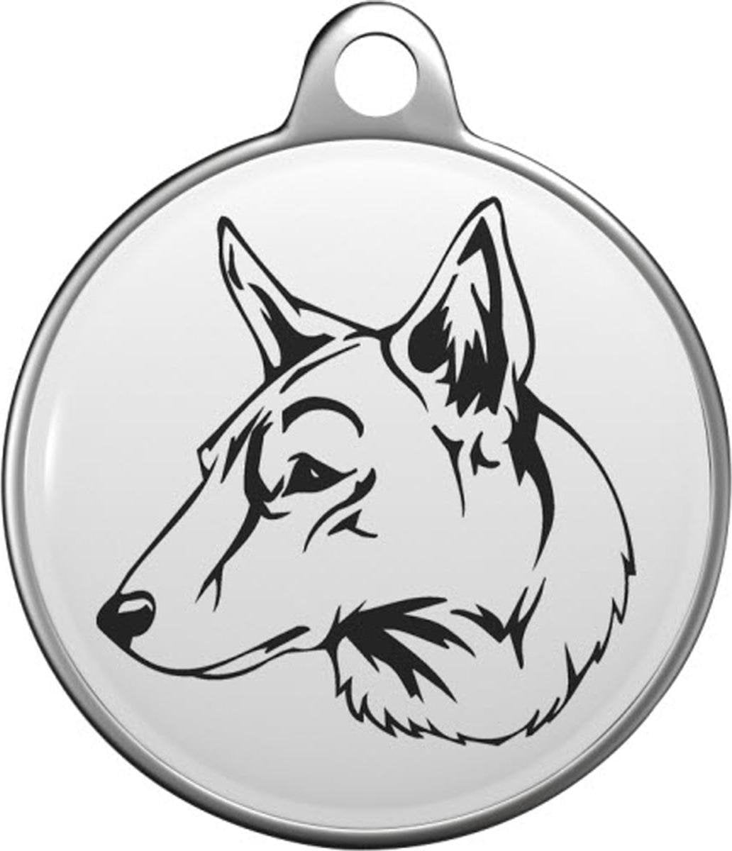 Saarlooswolfhond Tommy Tag S001