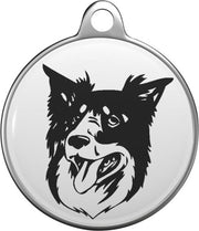 Bordercollie Tommy Tag B038
