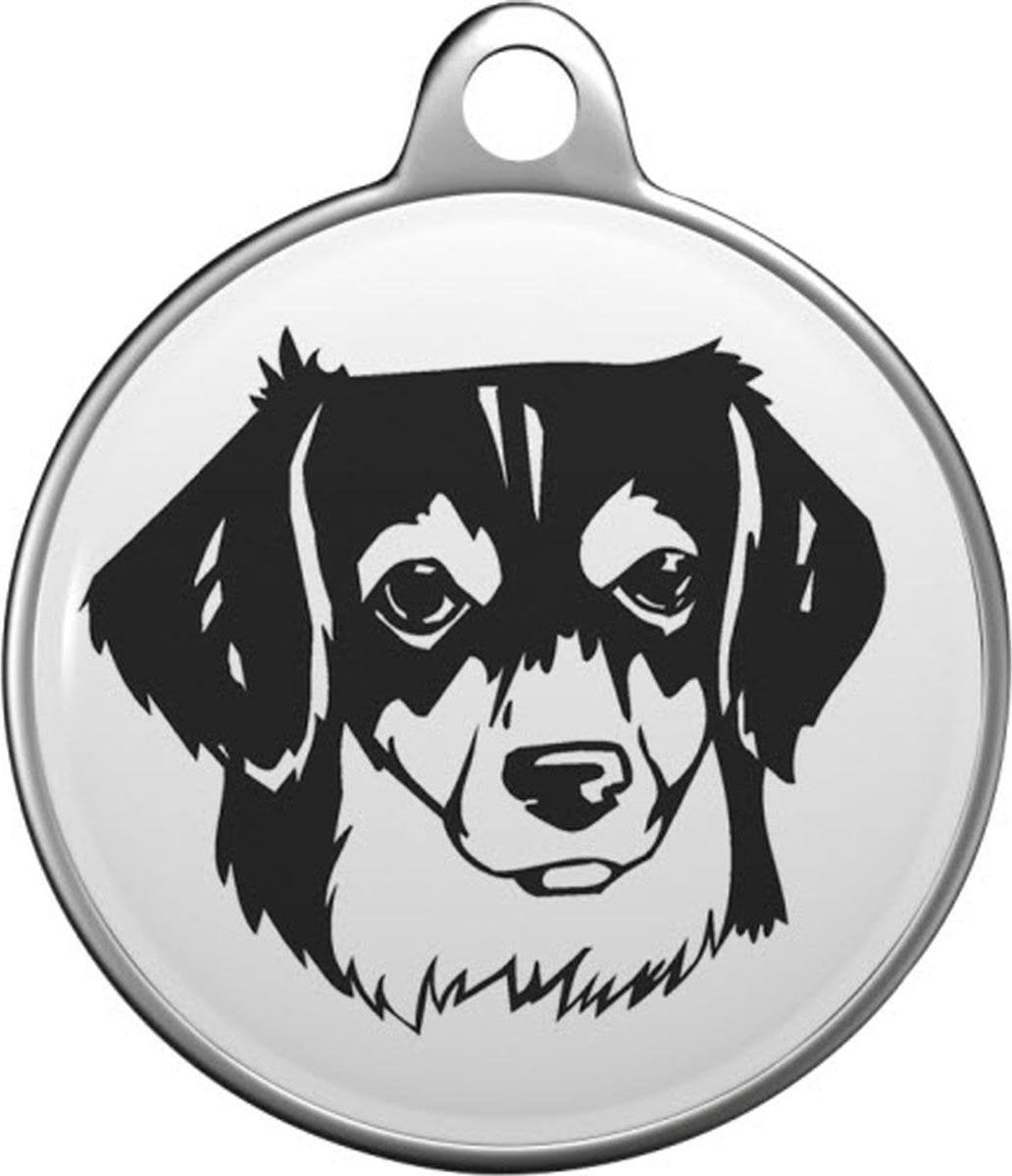 Small Greek Domestic Dog Tommy Tag S036