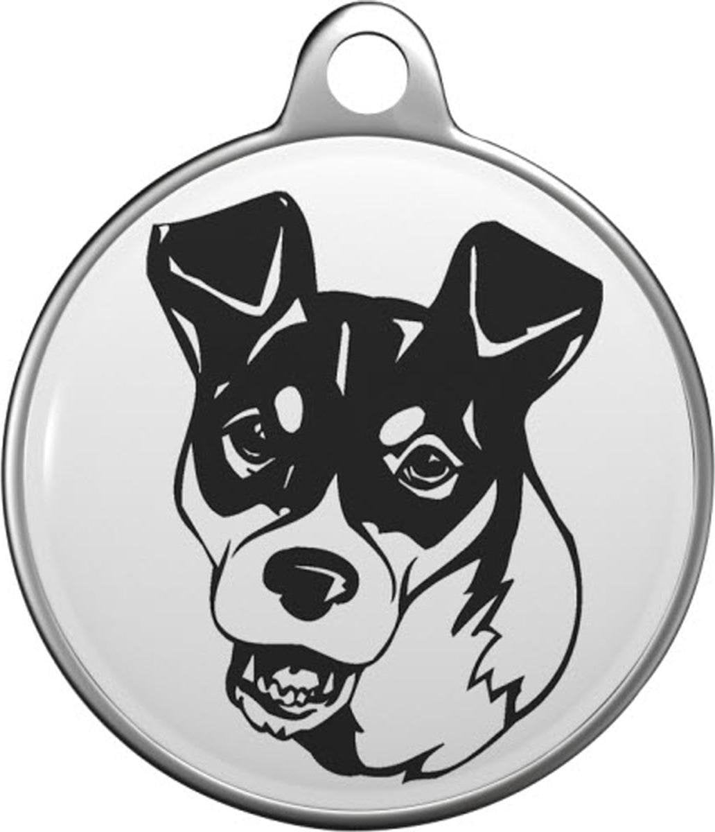 Ratonero Bodeguero Andaluz Tommy Tag R005