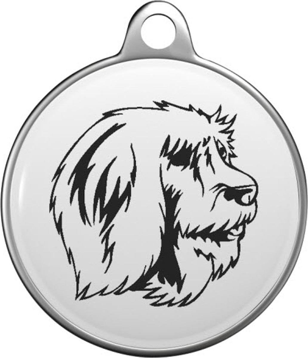 Catalan Sheepdog Tommy Tag C011