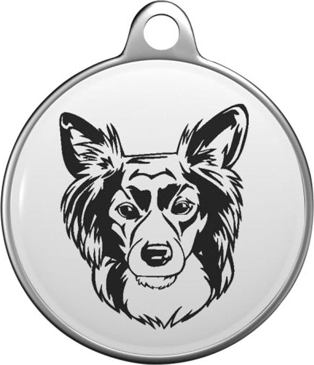 Spitz Mix Tommy Tag S042
