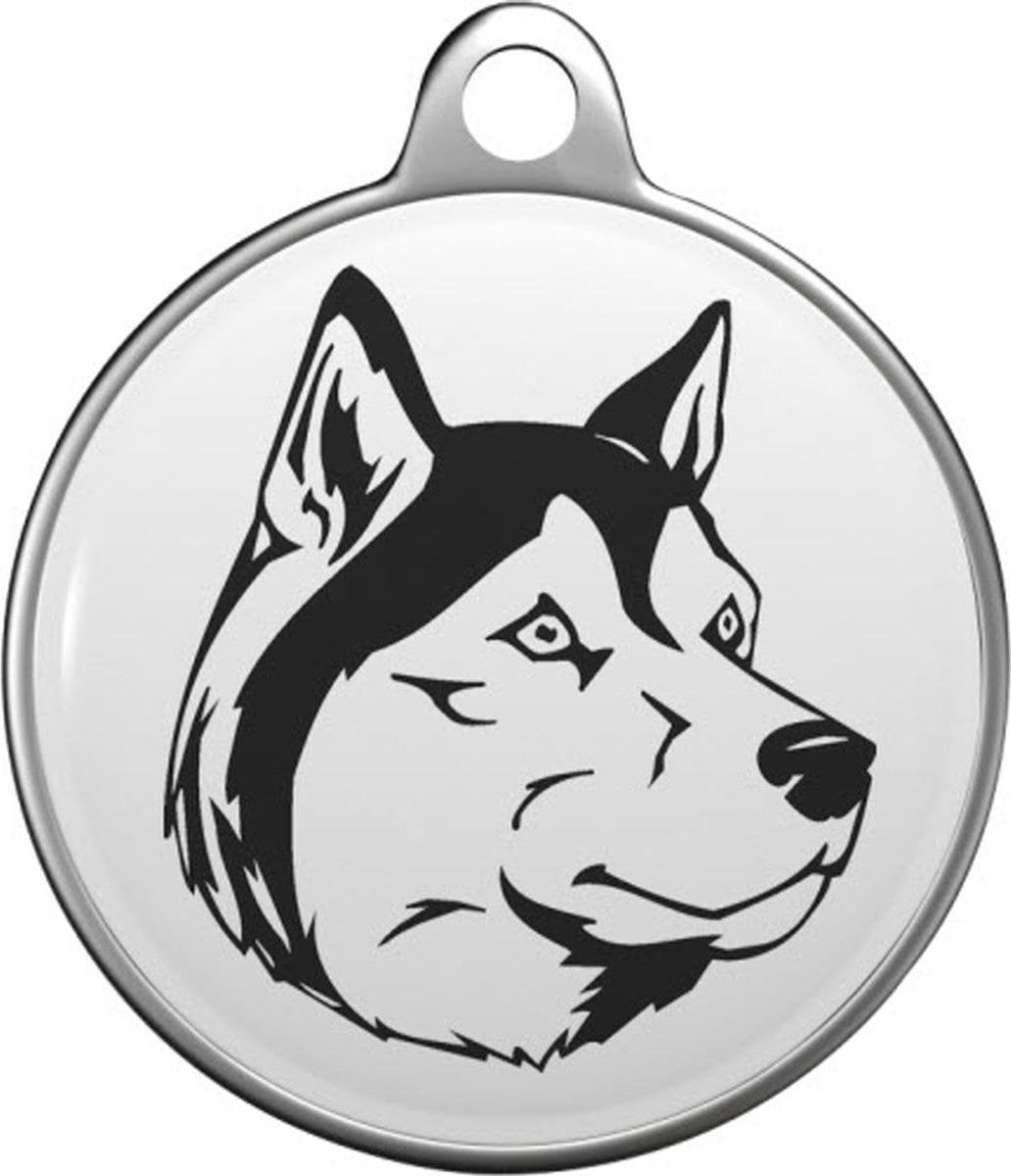 Siberische HuskyTommy Tag S028