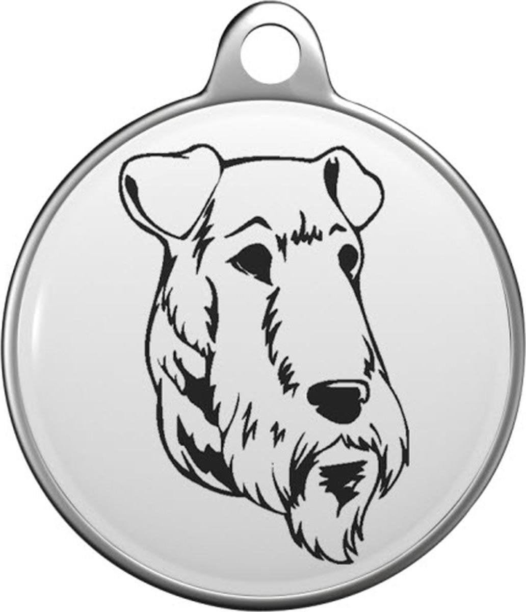 Airedale Terrier Tommy Tag A004