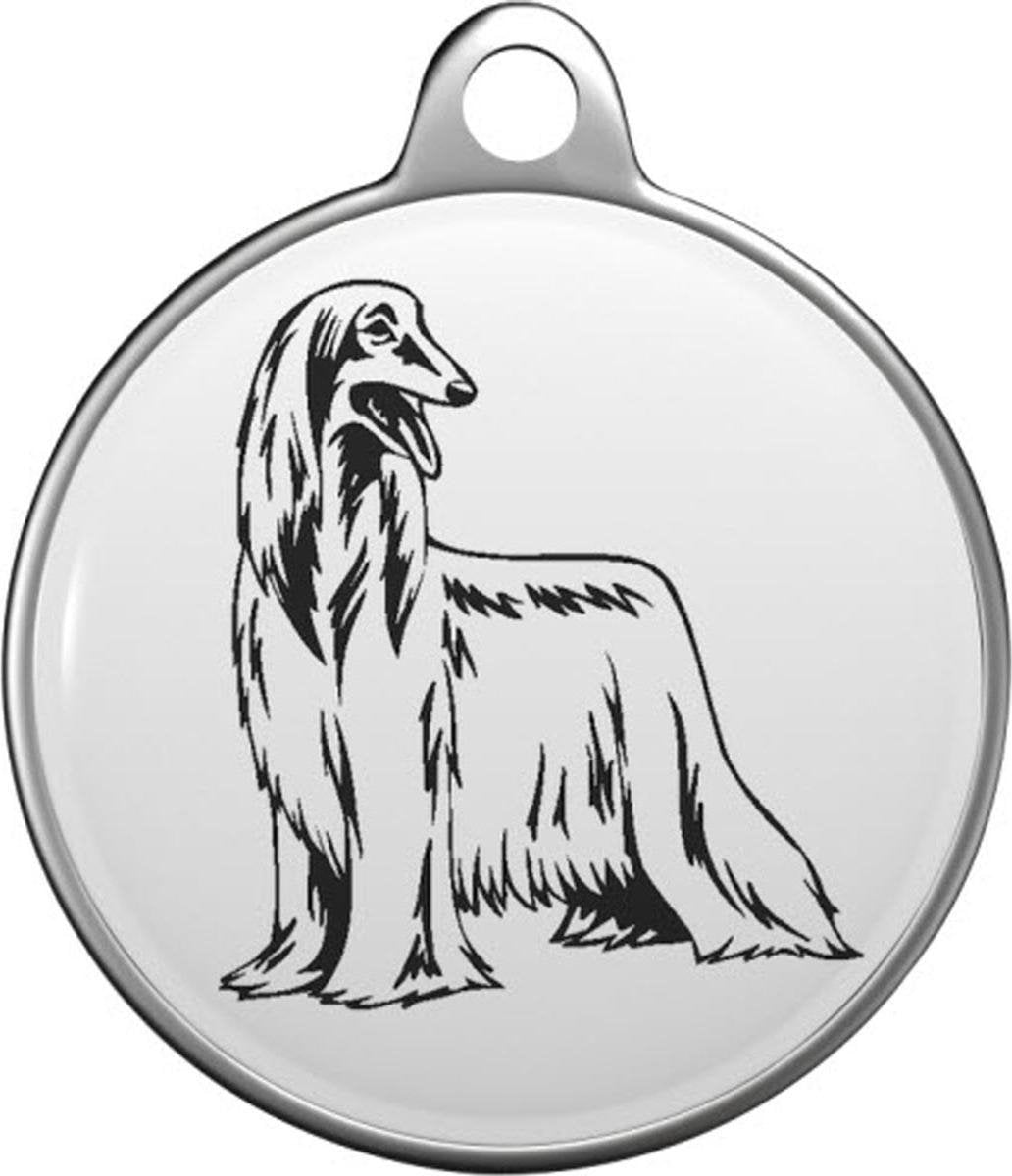 Afghaanse windhond Tommy Tag A002