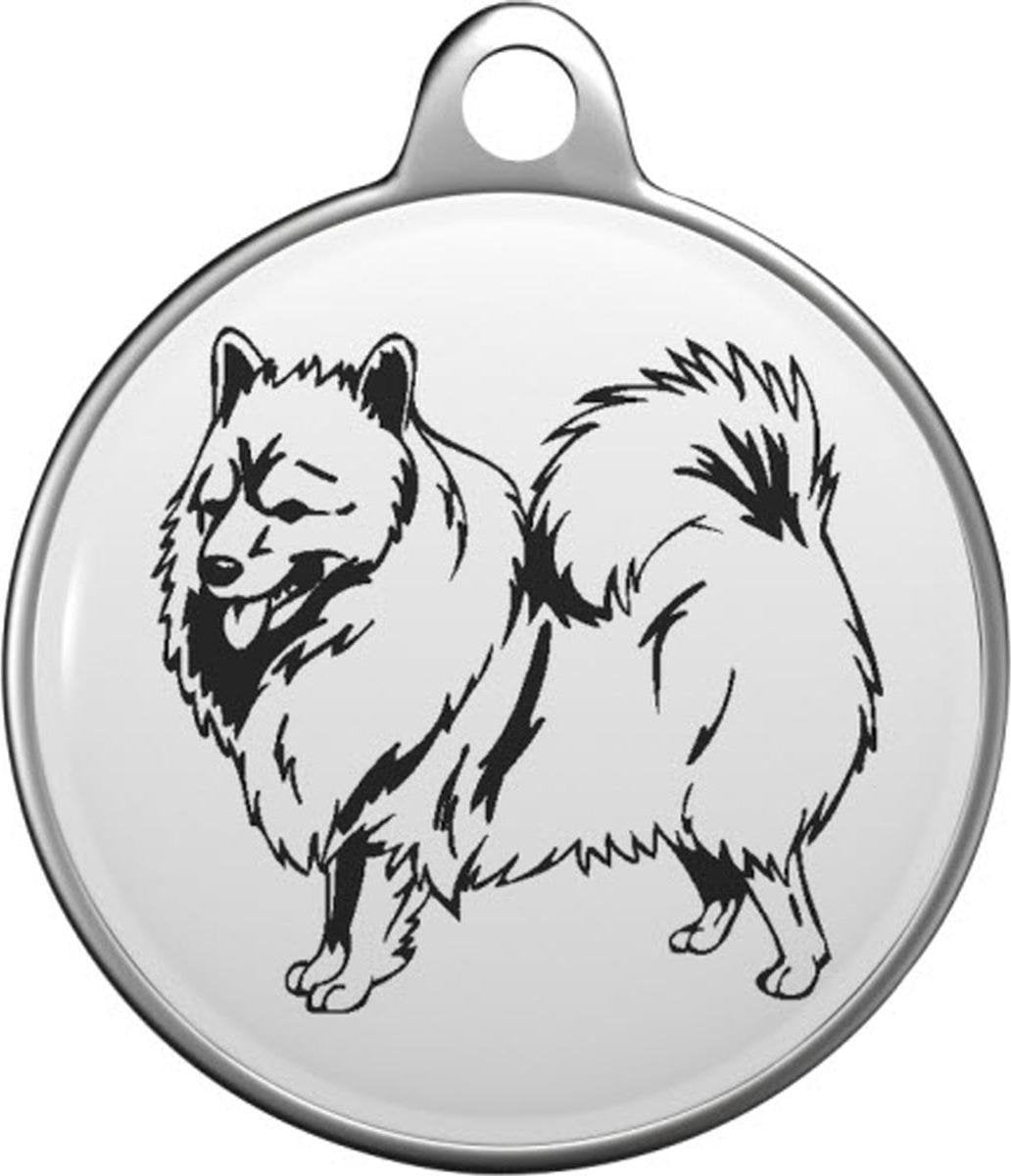 Duitse Spitz Tommy Tag G010