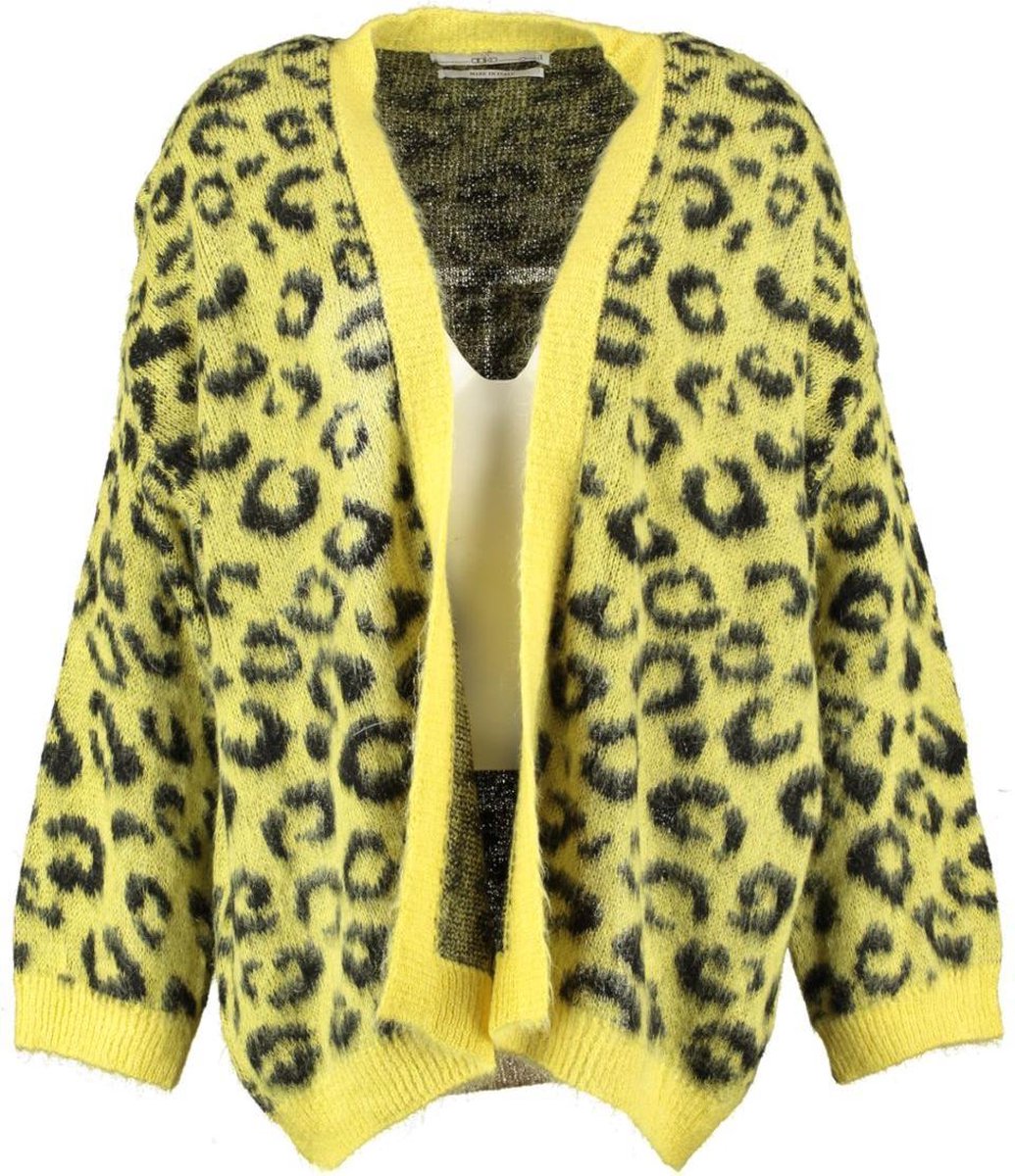 Aaiko geel oversized fit vest - valt ruim - Maat S/M