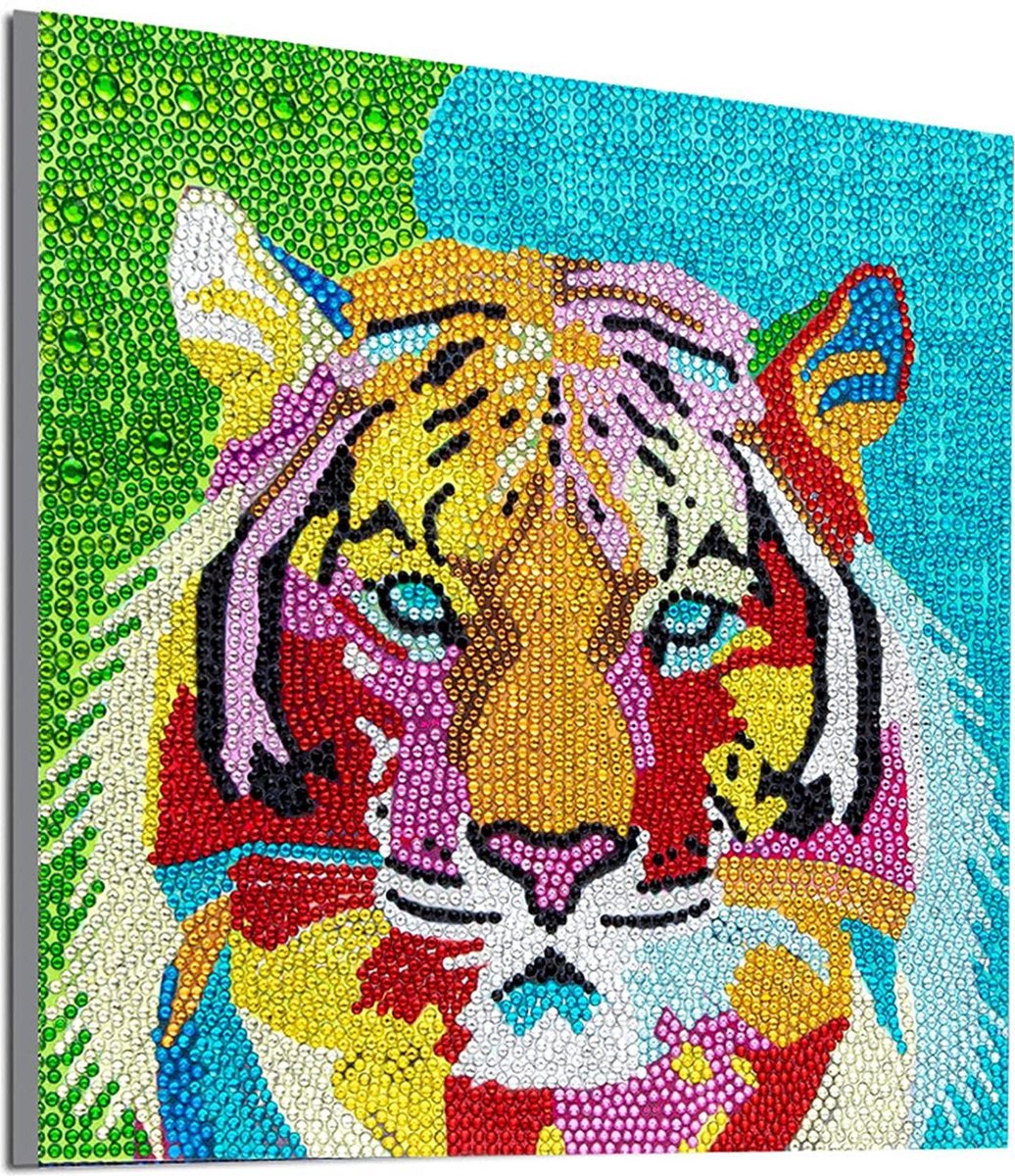 Doe-het-zelf 5D Diamond Painting Set