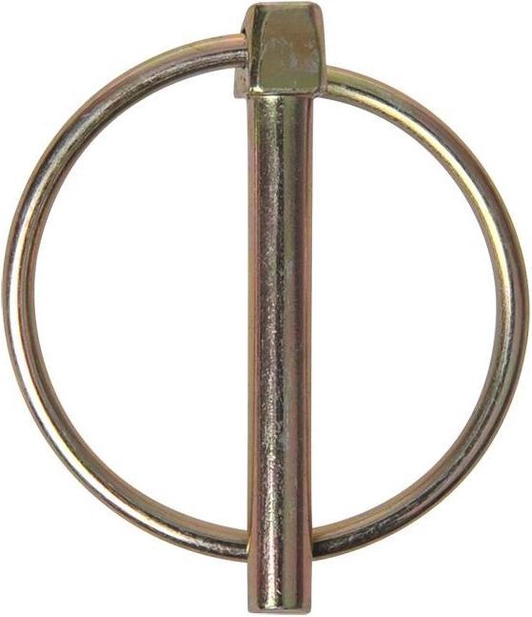 Proplus Borgpen Met Ring Aluminium 6 Mm Zilver Per Stuk