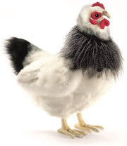 Franse Kip Knuffel