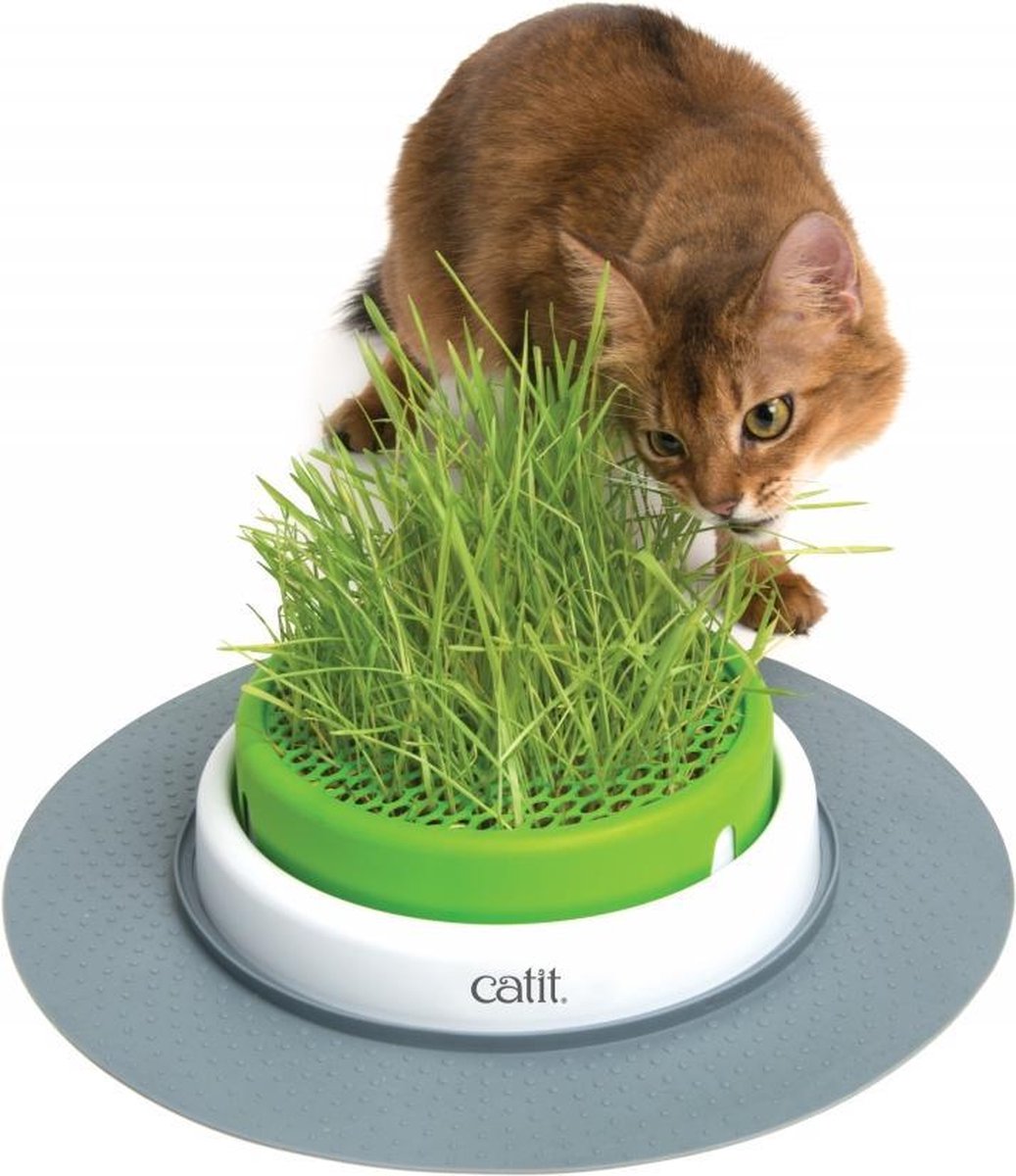 Cat it senses 2.0 grass planter